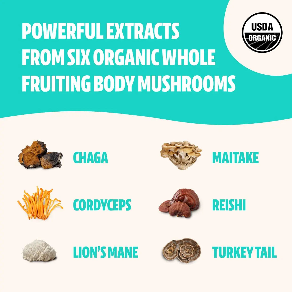 FreshCap Ultimate Mushroom Complex Powder - Lions Mane, Reishi, Cordyceps, Chaga FreshCap Mushrooms Au supplements