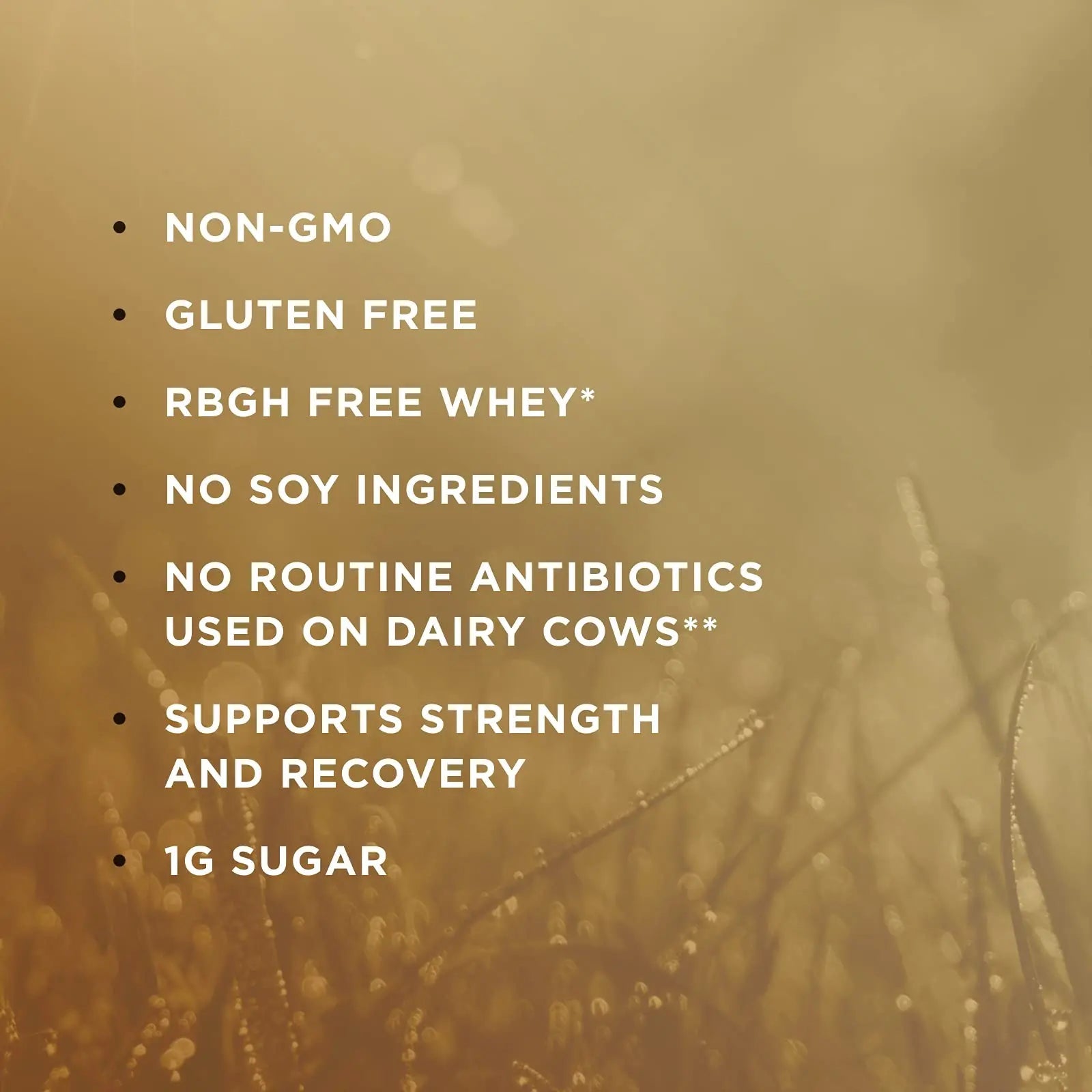 Solgar Whey To Go Natural Vanilla Flavour Protein Powder 340 g - Grass-Fed Whey from New Zealand Cows SOLGAR Au supplements