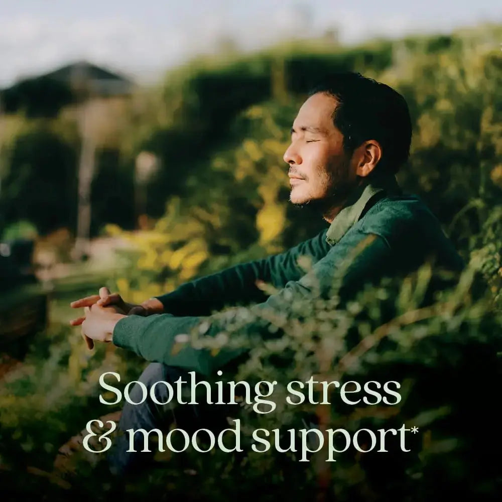 New Chapter Perfect Calm - Daily Multivitamin for Stress & Mood Support with B Vitamins + Holy Basil + Lemon Balm New Chapter Au supplements