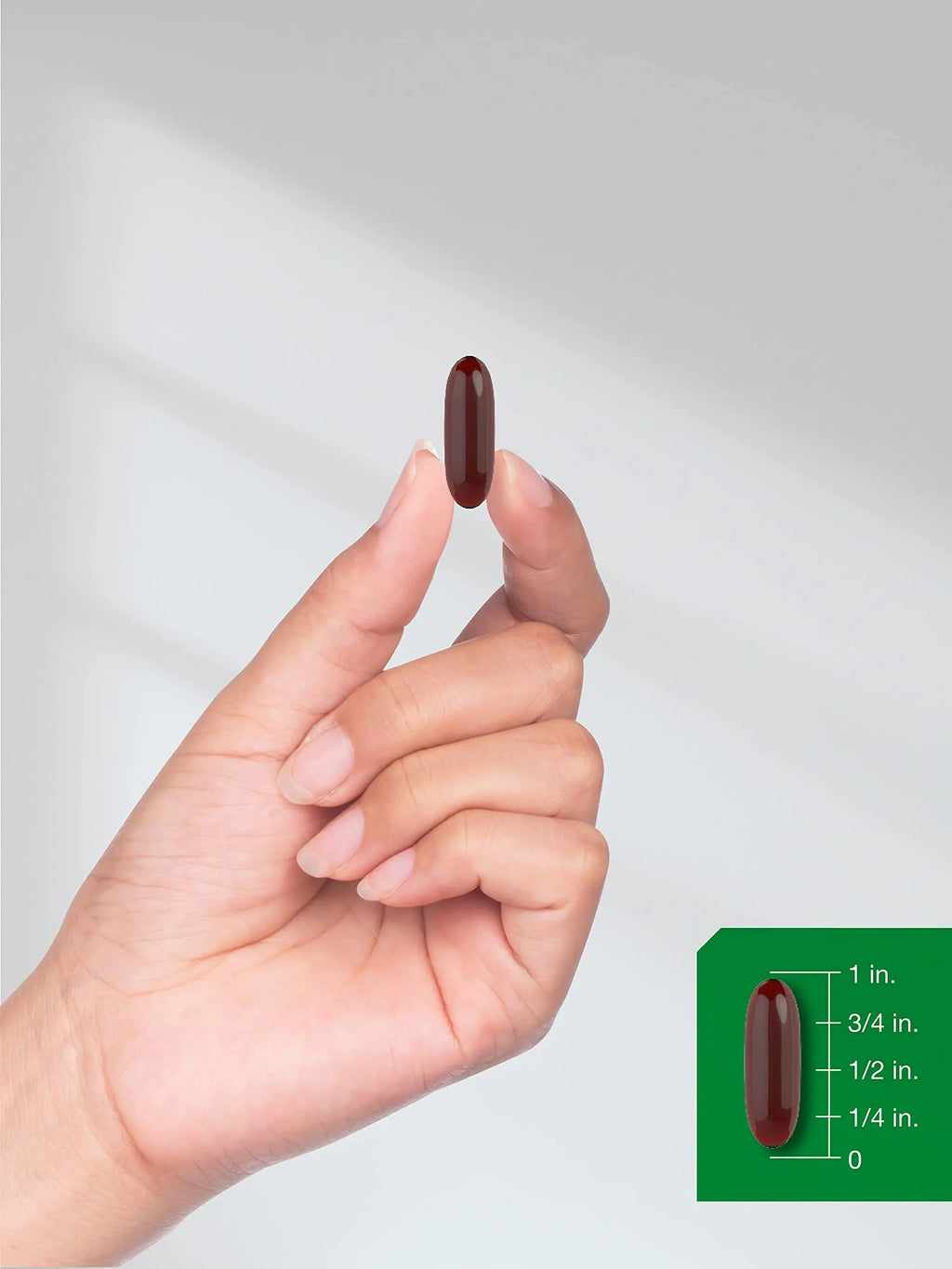 Black Seed Oil 2000mg | 120 Softgel Capsules | Cold Pressed Nigella Sativa Pills Horbäach Au supplements