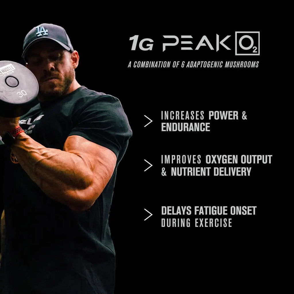 Jacked Factory Muscle Builder Supplement Stack - Build-XT Muscle Builder & N.O. XT Nitric Jacked Factory Au supplements