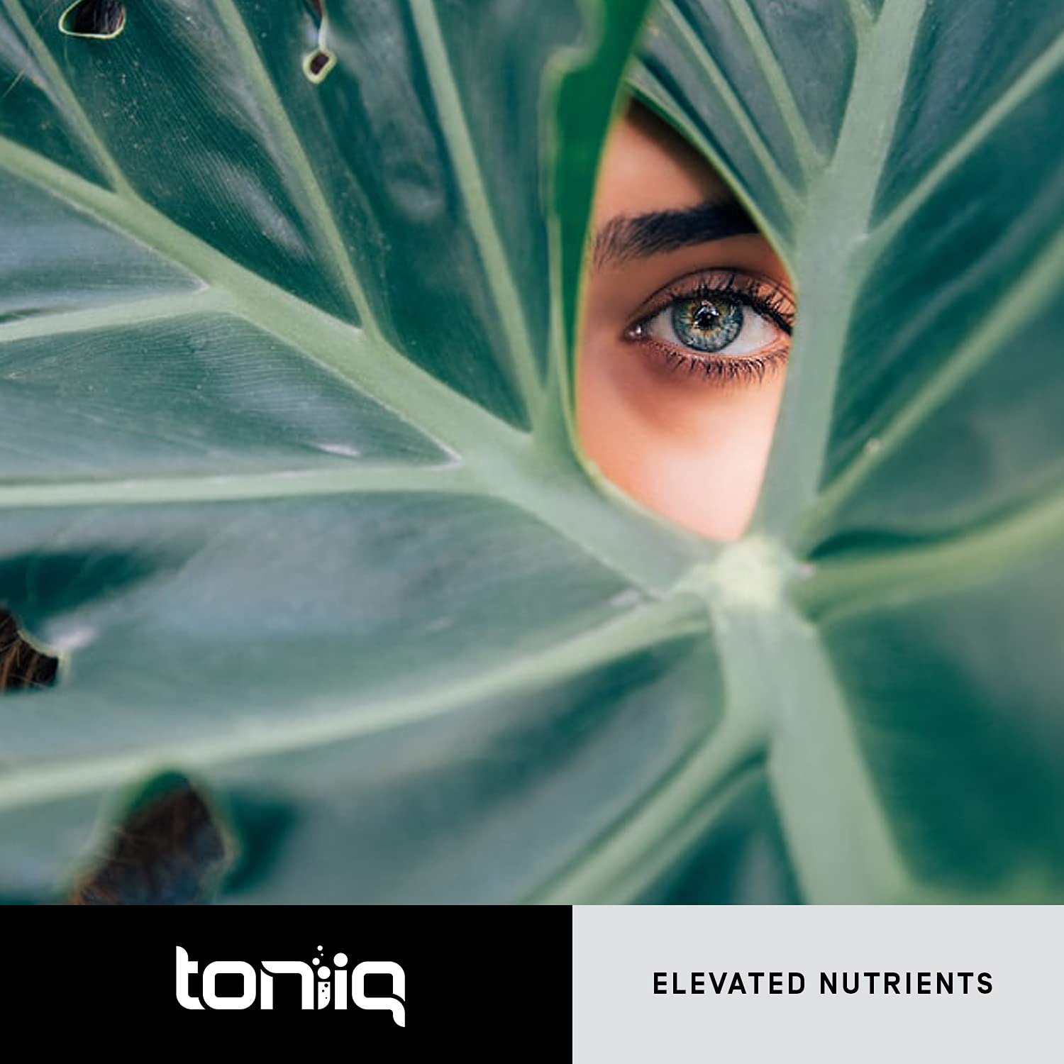 Toniiq Ultra High Purity Resveratrol Capsules - 98% Trans-Resveratrol - Highly Purified and Bioavailable - 60 Caps Reservatrol Supplement Toniiq Au supplements