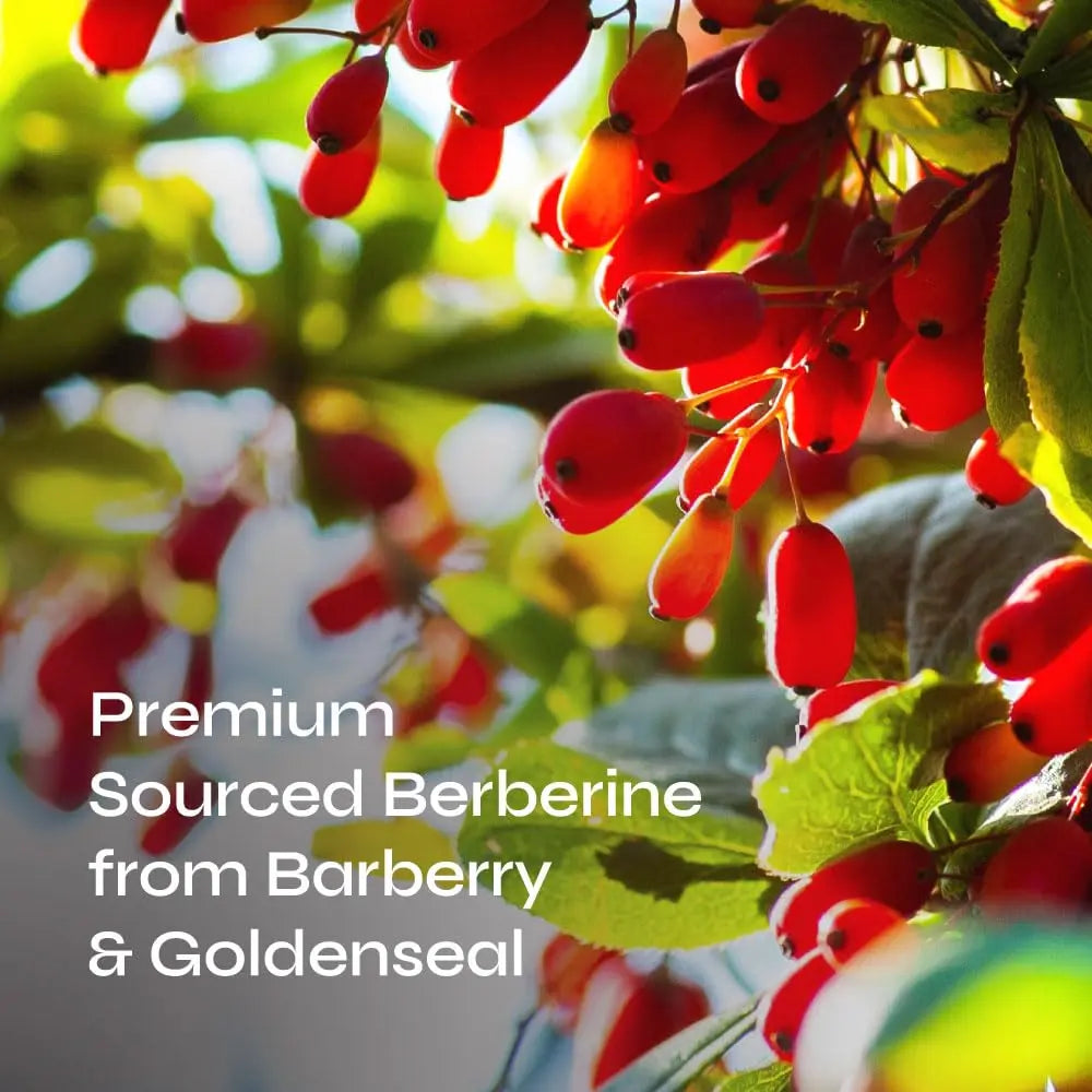 Neurogan Berberine Supplement Capsules, Weight Management Support - 45,000MG Natural Neurogan Au supplements