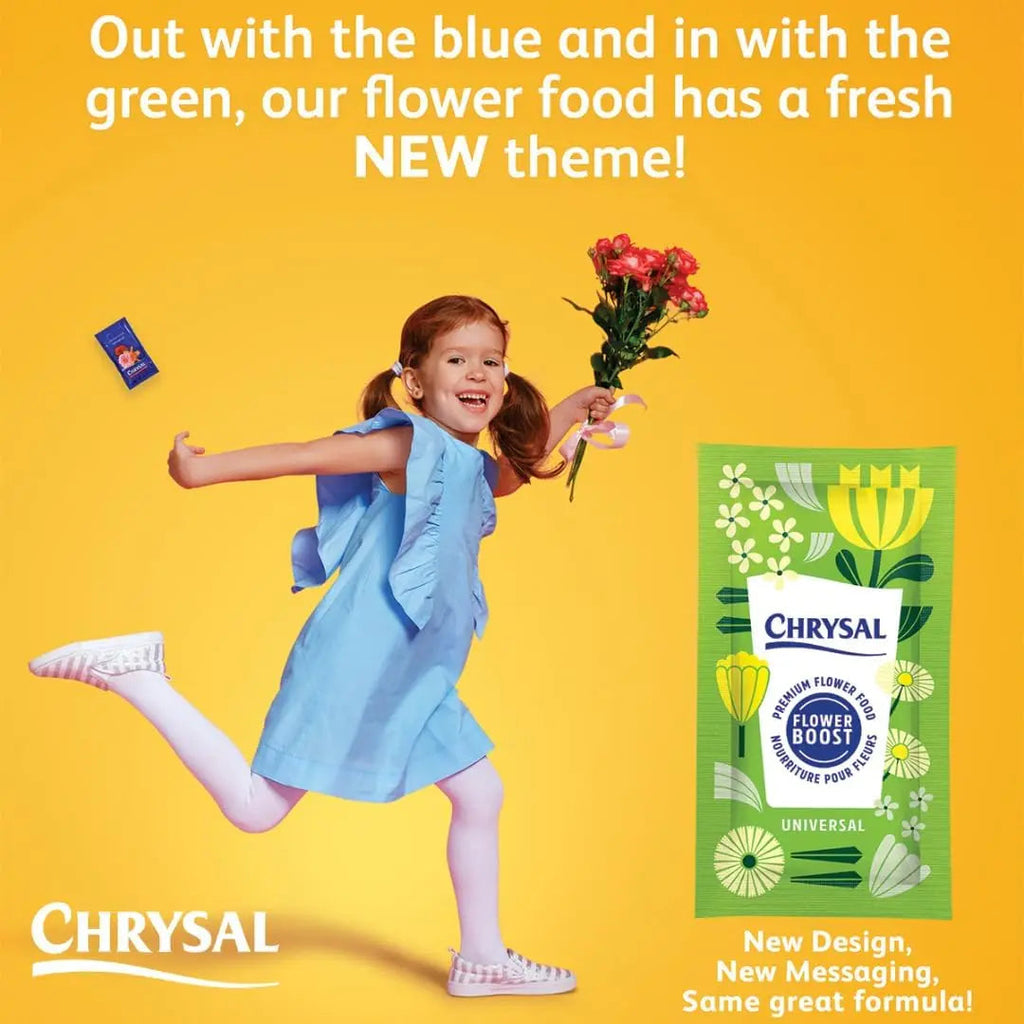 Chrysal Clear Flower Food Packets – Single Packet – Flower Arrangements & Bouquets – Floral Supplies Chrysal Au supplements