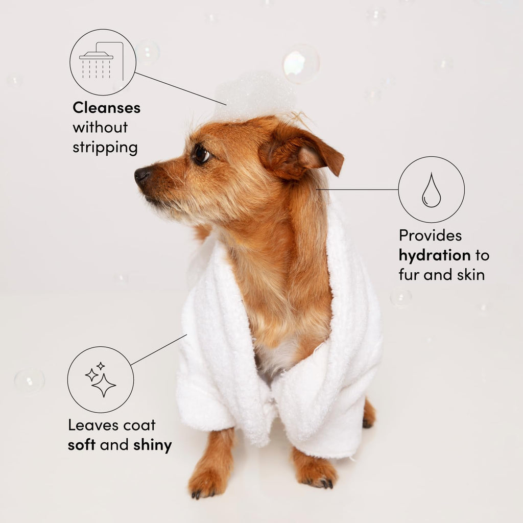 OUAI Fur Bébé Pet Shampoo, Mercer Street Scent - Dog Shampoo and Coat Wash for Hydrating, Cleansing and Adding Shine - Pet Supplies by OUAI (16 Fl Oz) OUAI Au supplements