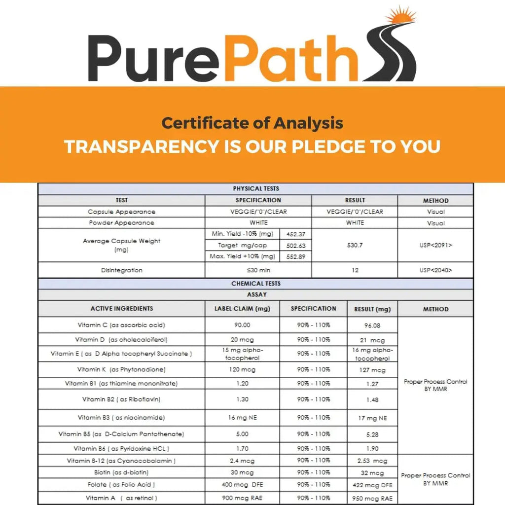 PurePath Non-Toxic Adult Multivitamin - 13 Vitamins - 100% RDA - No Harmful Megadoses - with B6 & B12 PurePath Au supplements