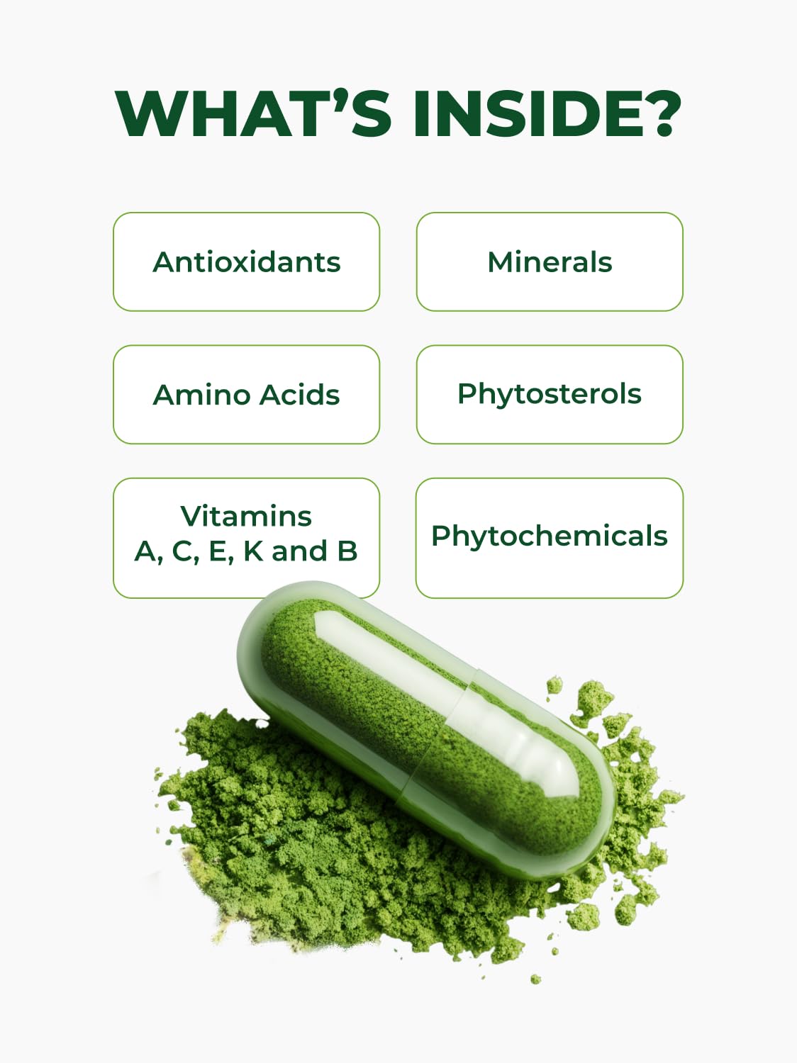 PURA VIDA MORINGA Organic Moringa Capsules, Pure Moringa Leaf Powder Single Origin for Energy, Metabolism & Immune Support