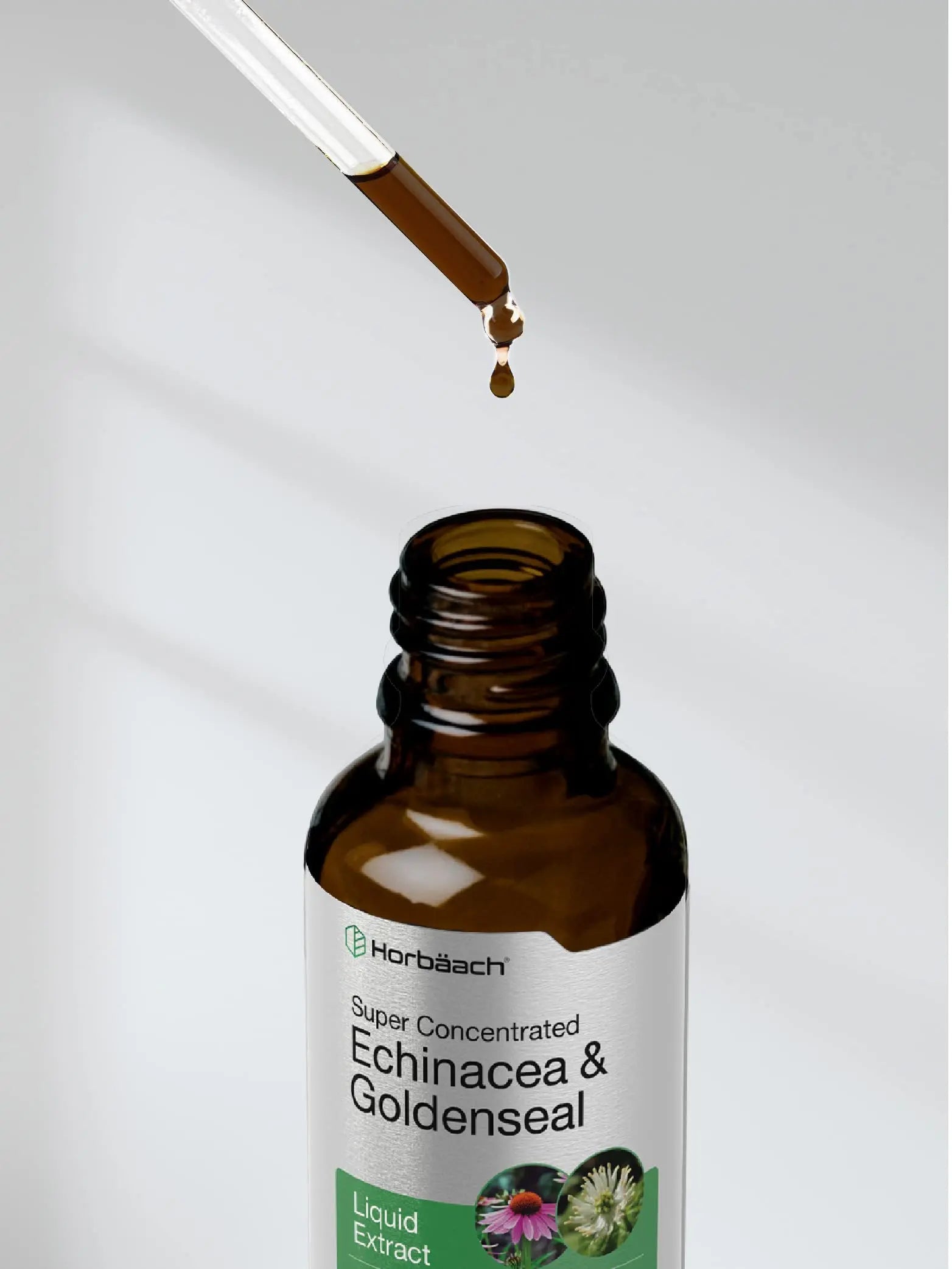 Echinacea Goldenseal Liquid Extract | 2 fl oz | Alcohol Free Tincture Drops | Vegetarian Horbäach Au supplements