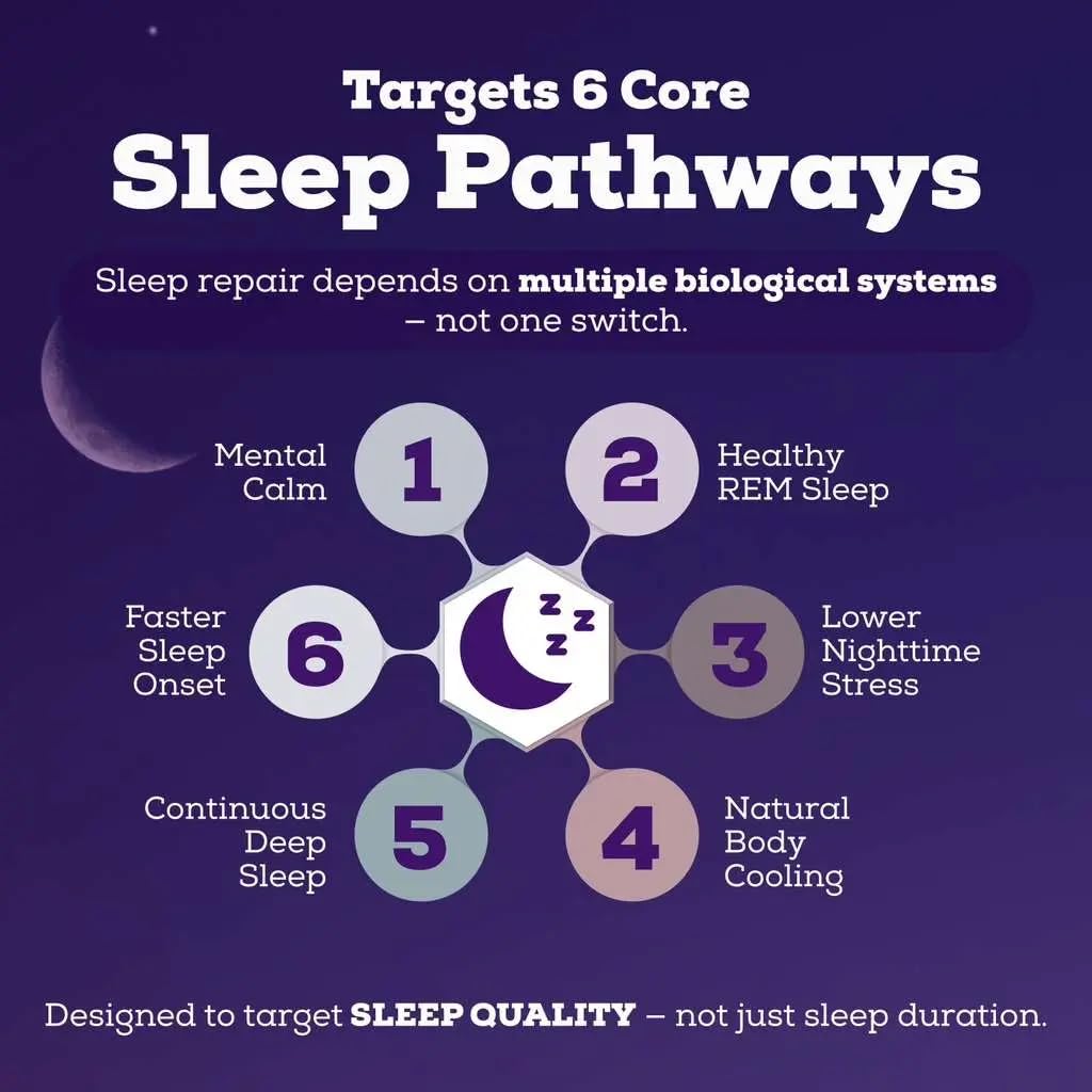 Black Forest Sleepy Hot Cocoa - Magnesium Hot Chocolate Sleepy Cocoa Sleep Powder for Adults with Melatonin & L-Theanine - Natural Sleep Drink Mix for Deep Sleep & Relaxation,