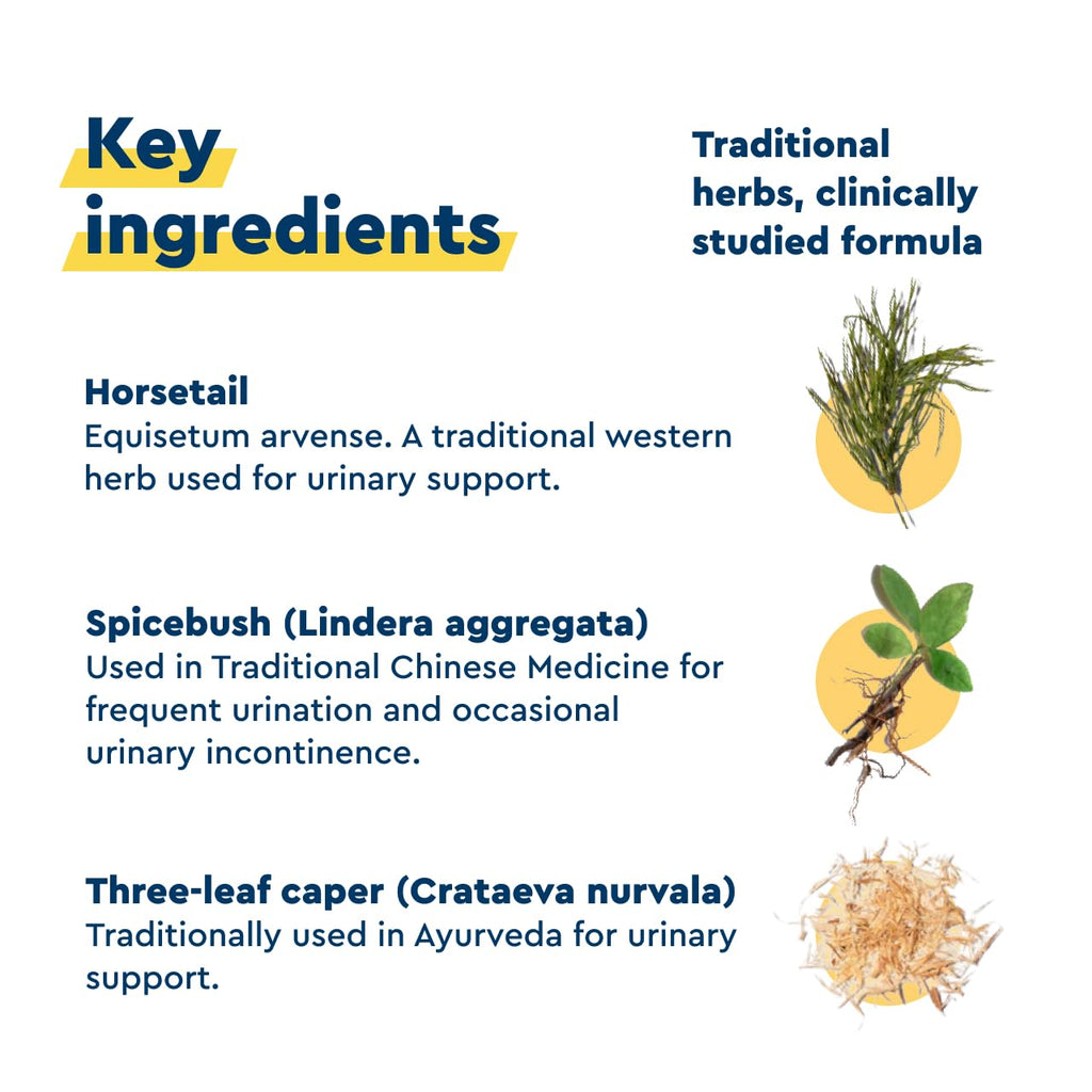 Uqora in Control Bladder Support - Daily Bladder Care & Support for Urinary Comfort - Made with botanicals, Like Horsetail & Spicebush - Gluten-Free & Vegetarian - 60 Capsules Uqora Au supplements