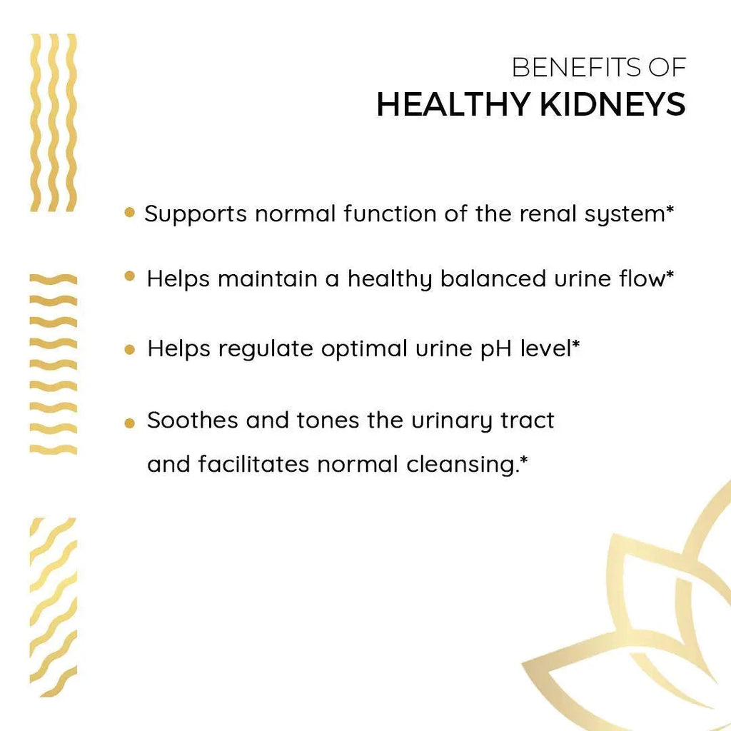 Kerala Ayurveda Healthy Kidney Herbal Tablets | Support Normal Kidney Function and Health | Kidney and Bladder Support | Urinary System Support - 90 Count Kerala Ayurveda Au supplements