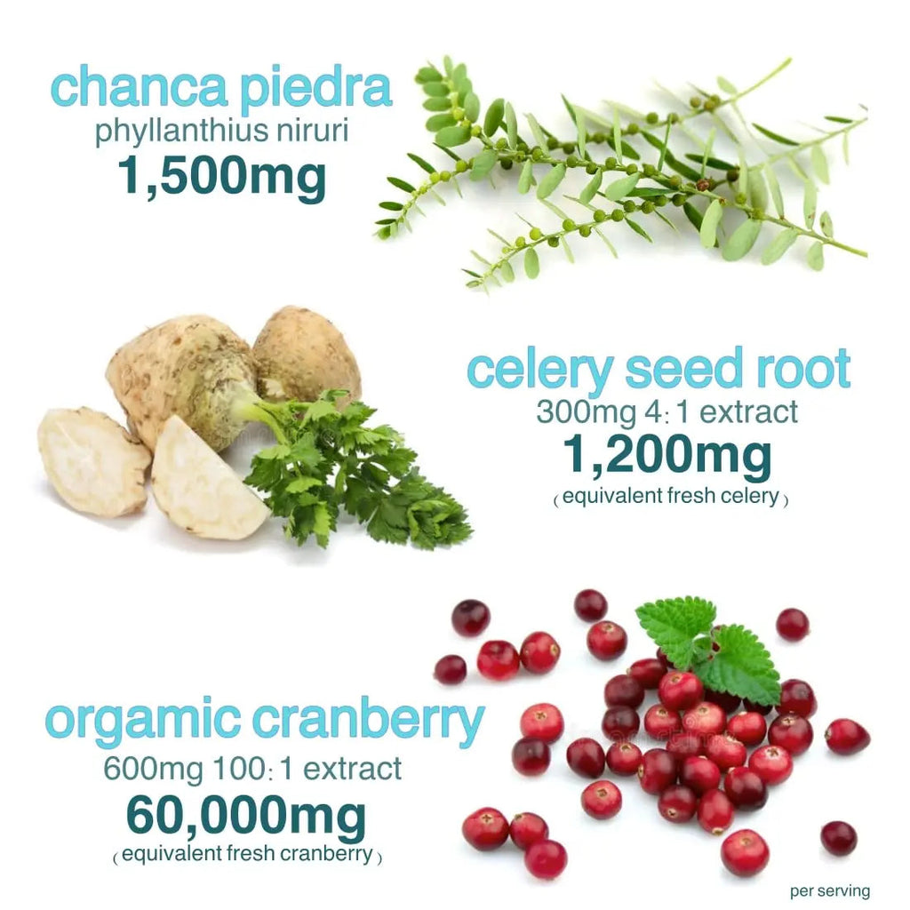 Holistic MD Stone Breaker Chanca Piedra 1,500mg Gummies Kidney Stones Cleanse Gallbladder Formula | Plus Cranberry Extract Might Help Urinary Tract Flush Impurities | Fast Absorption Sugar Free 60ct Holistic MD Au supplements