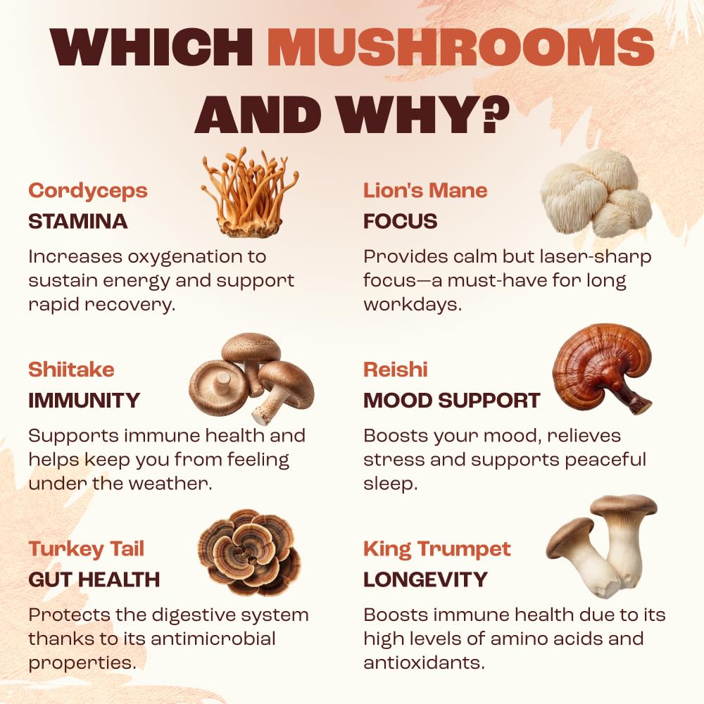 RYZE SUPERFOODS Mushroom Medium Roast Coffee USDA Organic with 6 Adaptogenic Mushrooms, USA Grown Instant Coffee for Better Energy