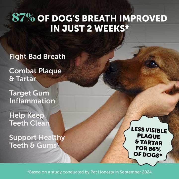 Dog Breath Freshener Dental Powder for Teeth Cleaning Plaque Off, Dental Care for Dogs, Tartar Remover for Teeth with Natural Herbal Blend + Postbiotics (Mint - 30 Servings) Pet Honesty Au supplements