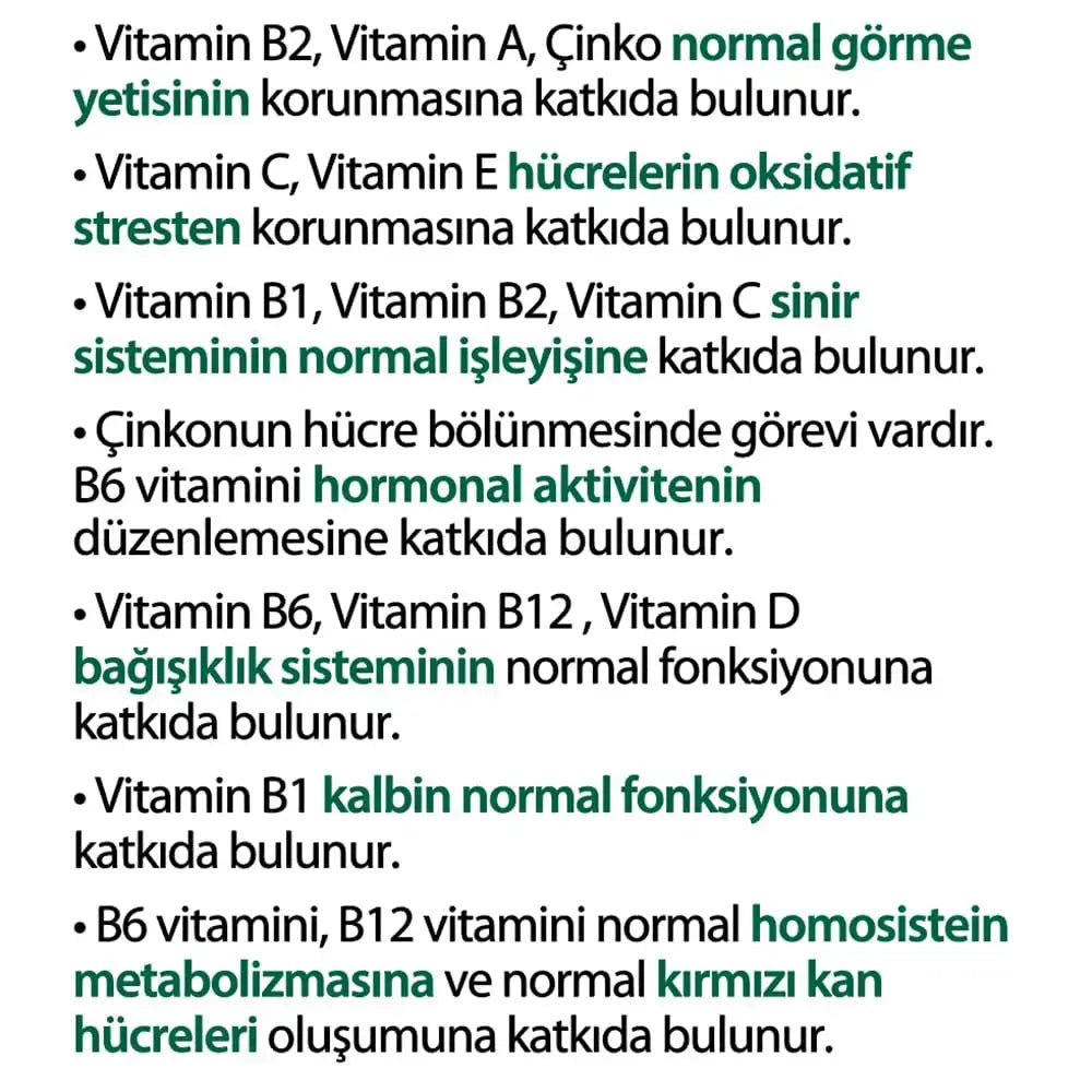 Vitabiotics Wellman 70+ 30 Tabs Vitabiotics Au supplements