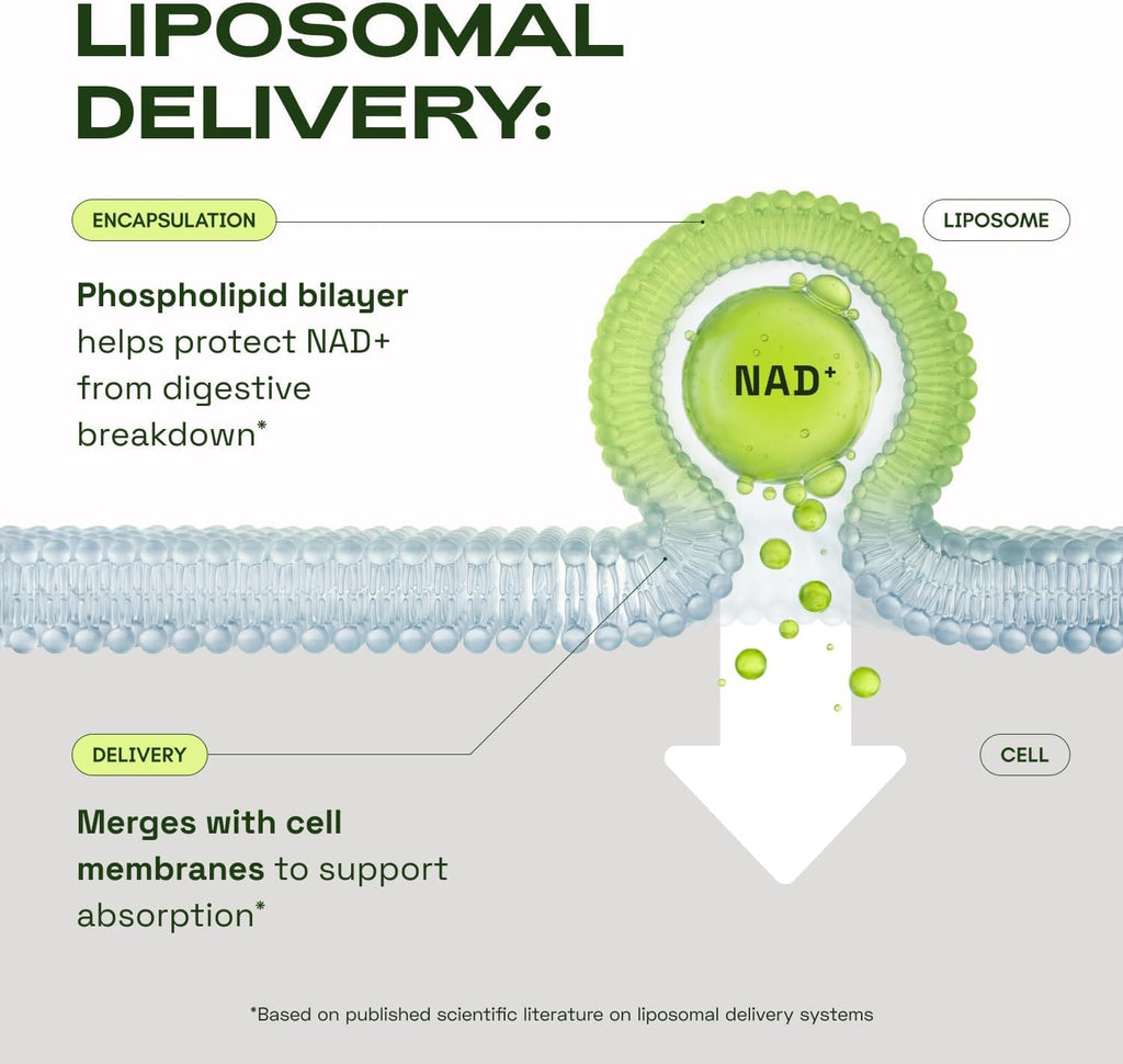Cata-Kor NMN Supplement Alternative – Liposomal NAD+ Supplement - NAD CORE 30-Day Supply 60 Capsules