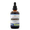 Secrets of the Tribe Cryptolepis Tincture Alcohol-Free Extract, High-Potency Herbal Drops Secrets of the Tribe Au supplements