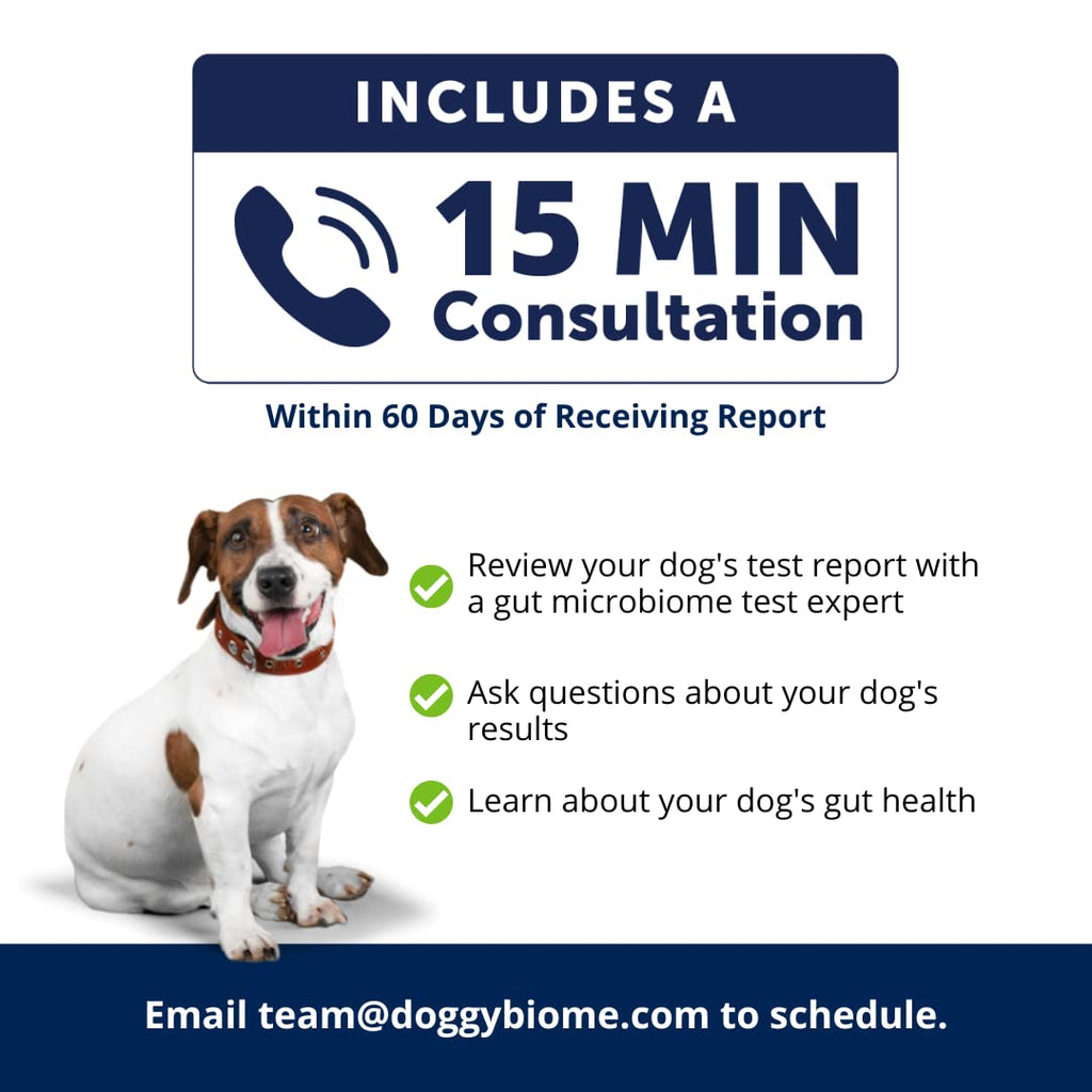 AnimalBiome Dog Gut Health Test – DoggyBiome At Home Stool Testing Kit, Canine Fecal Analysis for Digestive Issues, Diarrhea & Allergy Insights w/Personalized Report & Custom Plan (Dogs in US) AnimalBiome Au supplements