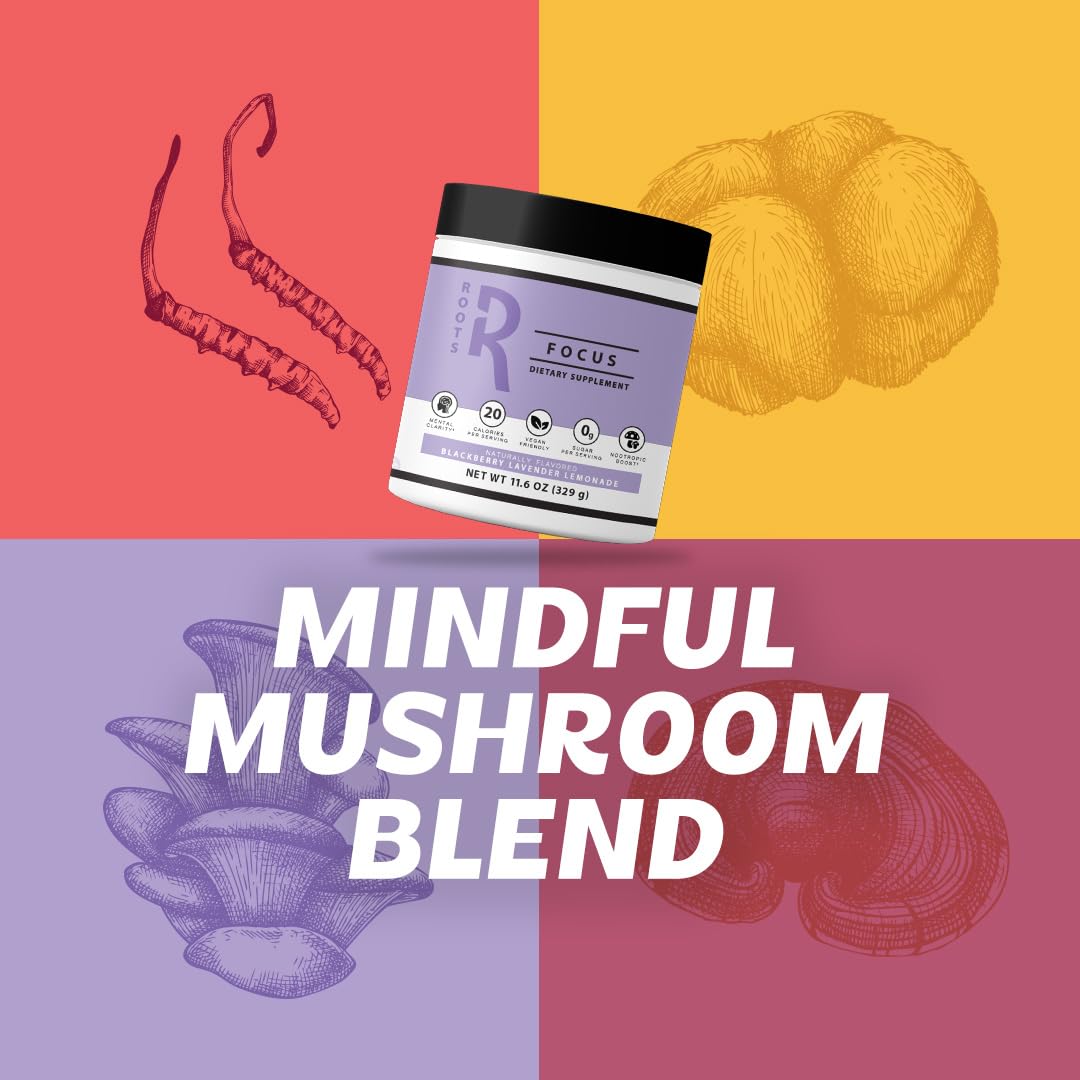 Roots Focus Brain Supplement - Nootropic Mushroom Supplement Powder for Memory, Focus, Energy - Lion's Mane, Cordyceps, and Reishi Mushrooms with Caffeine - Blackberry Lemonade, 15 On the Go Packets Silver Star Nutrition Au supplements