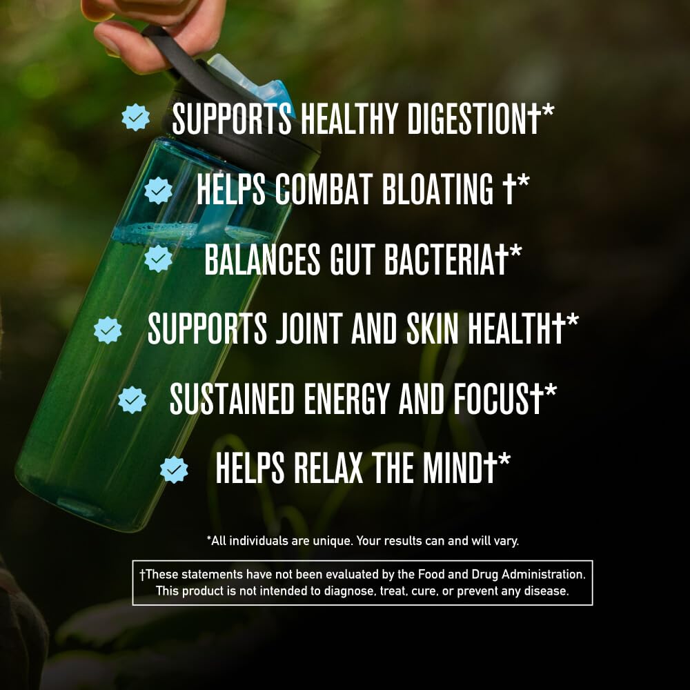 ROUNDHOUSE PROVISION Morning Kick, Greens Superfood Powder Supplement with Ashwagandha, Collagen & Probiotics - Sugar Free, Caffeine Free (3 Pack, Strawberry Lemonade Flavor) by Chuck Norris ROUNDHOUSE PROVISION Au supplements