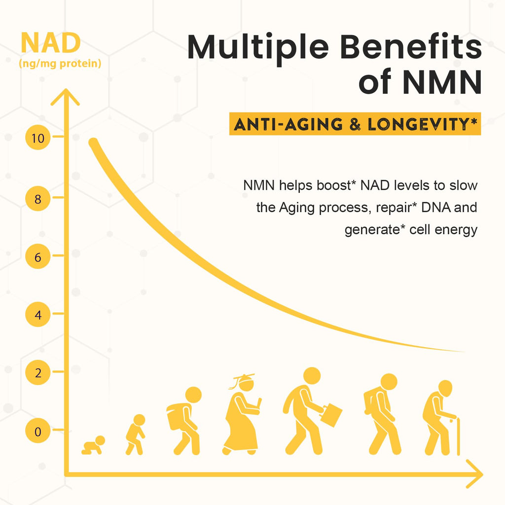 Sublingual NMN 500mg, Max Absorbency & Fast-Acting NMN Supplement（120-Day Supply）, 99% Pure NMN (Nicotinamide Mononucleotide) for NAD, Cell, Immune, Energy, Muscle, Anti-Aging, Longevity, 120 Lozenges Enprotess Au supplements