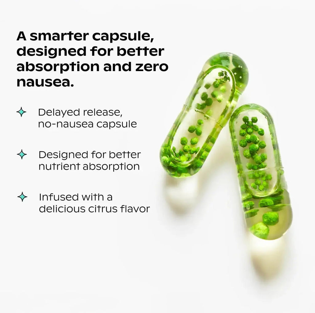wholier Plant Based Multivitamin Vegan Omega-3 DHA EPA, Vitamin D, B12, Zinc, Vitamin K2, Iron, Iodine, Selenium wholier Au supplements