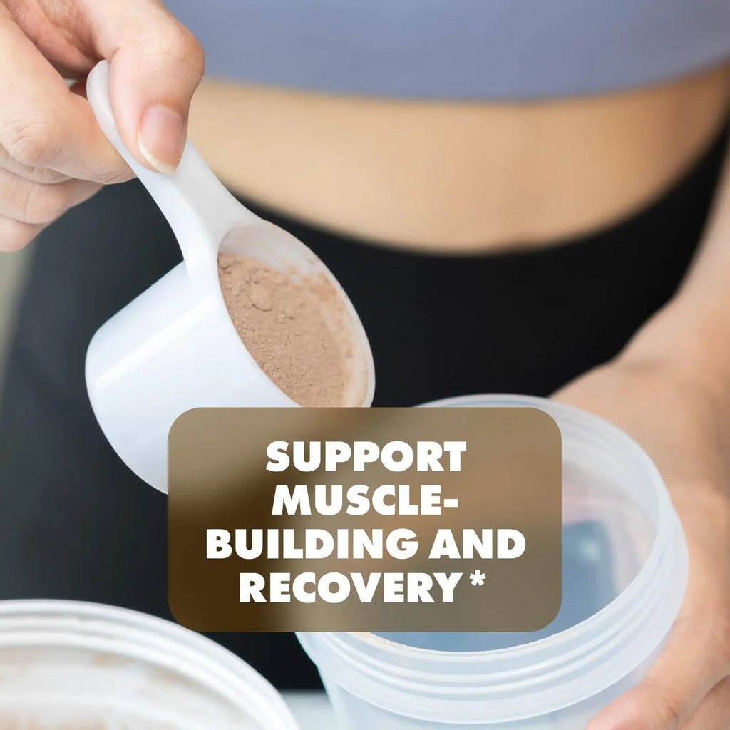Sculpt Nation by V Shred Protein Powder (Chocolate) - Premium Whey Protein Powder Sculpt Nation Au supplements