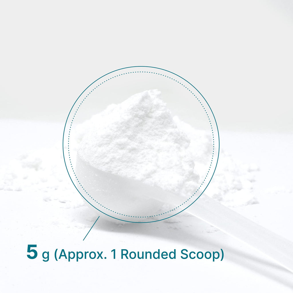 DEAL SUPPLEMENT Instant Creatine Monohydrate Powder, 5g Per Serving – 60 Servings | Micronized, Unflavored, Fast Absorbing Formula