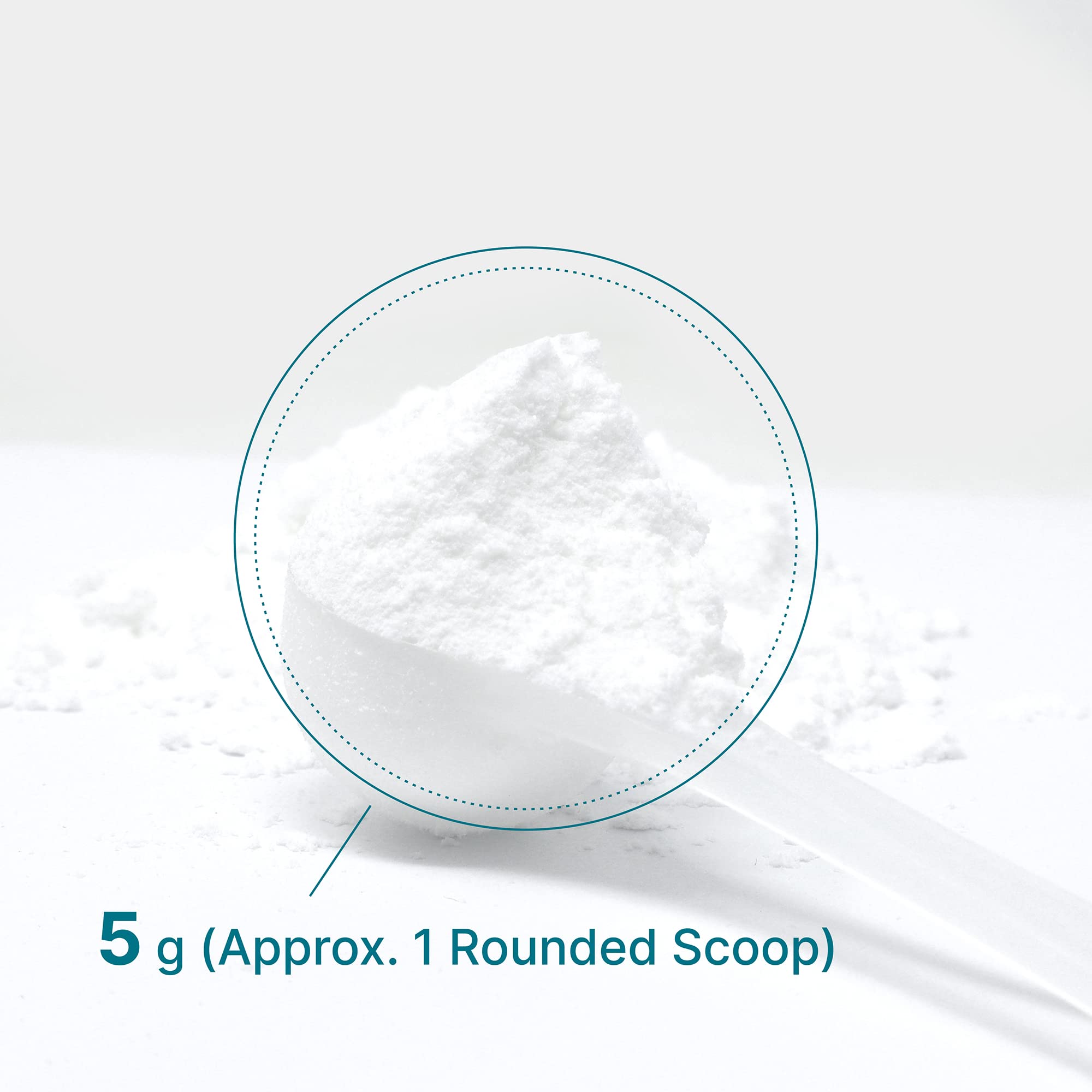 DEAL SUPPLEMENT Instant Creatine Monohydrate Powder, 5g Per Serving – 60 Servings | Micronized, Unflavored, Fast Absorbing Formula
