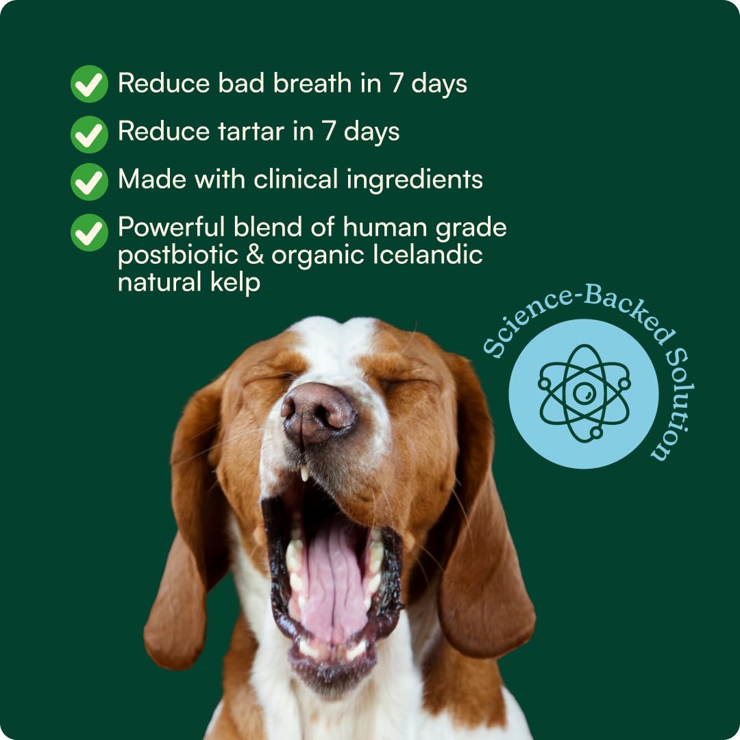 Reggie Dental Powder for Dogs | Reduce Bad Breath in 7 Days, Plaque & Tartar Control | Natural Dog Dental Supplement | Postbiotic Formula with Organic Kelp | Vet-Approved & Made in USA | 60 Servings Reggie Au supplements
