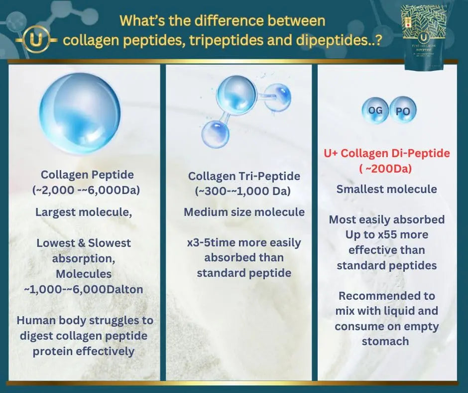 U+ Pure Collagen Dipeptide Supplement - Advanced Hydrolyzed Collagen Powder for Skin, Hair U+ Pure Collagen Au supplements