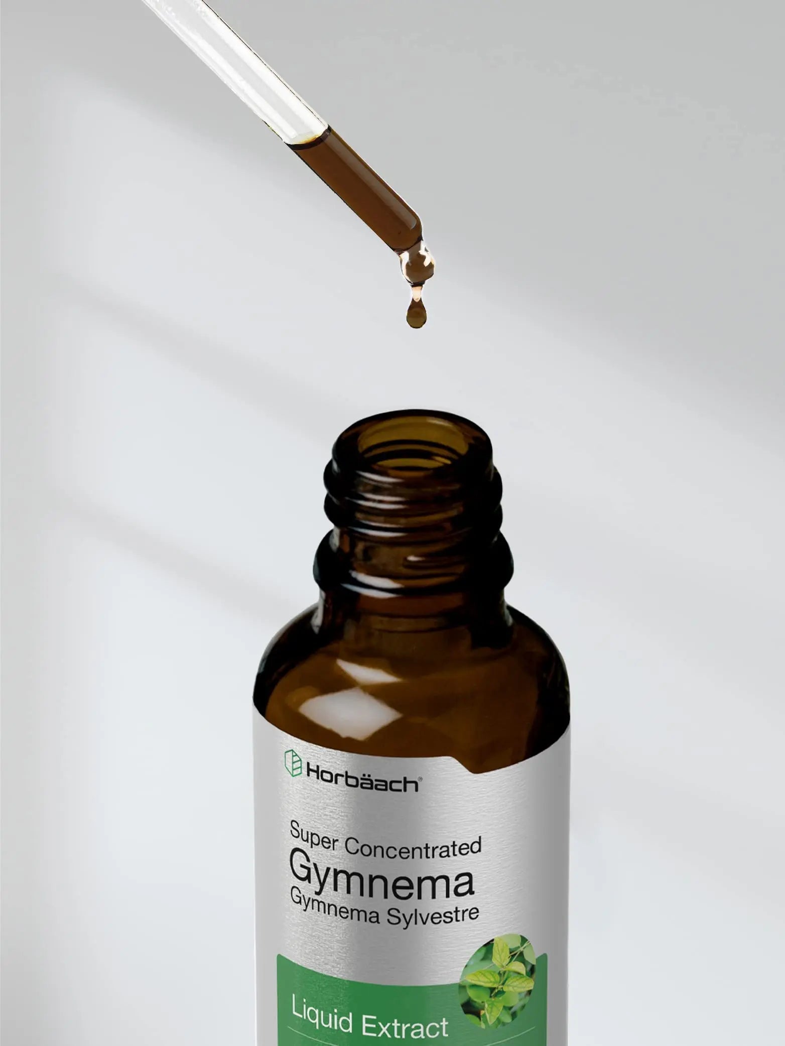 Gymnema Sylvestre Liquid | 2 fl oz | Alcohol Free Supplement | Super Concentrated Horbäach Au supplements