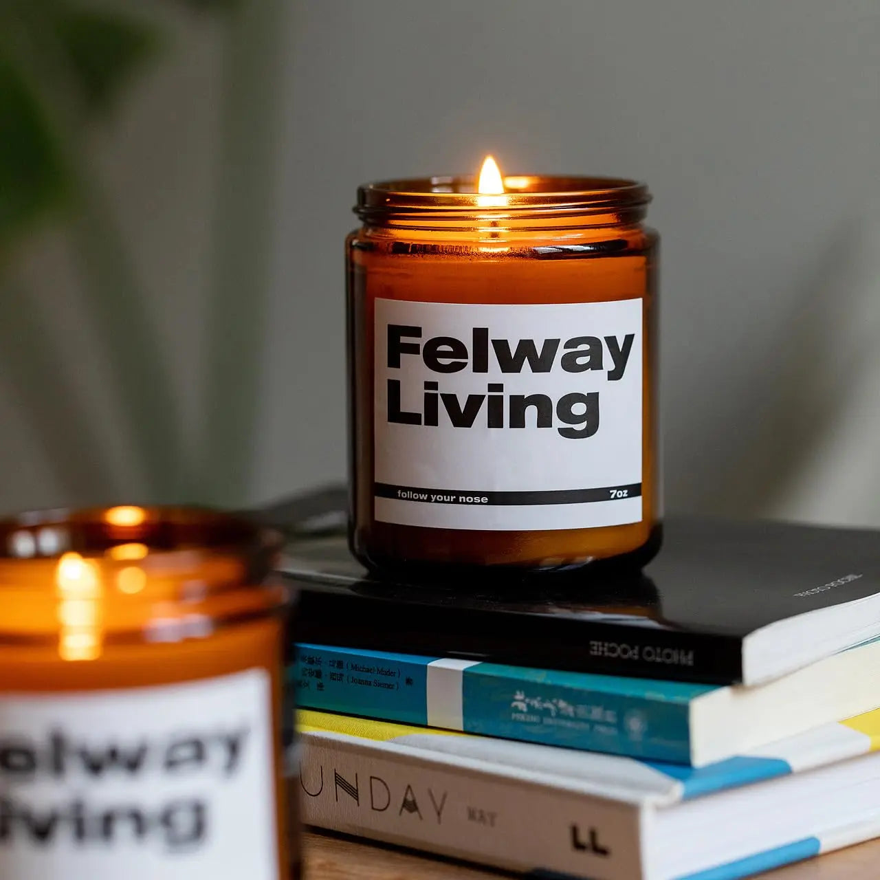 FELWAY Vanilla Scented Candle, Organic Soy Candle for Home Scented, 7 oz Long Lasting, Gift for Women's FELWAY Au supplements