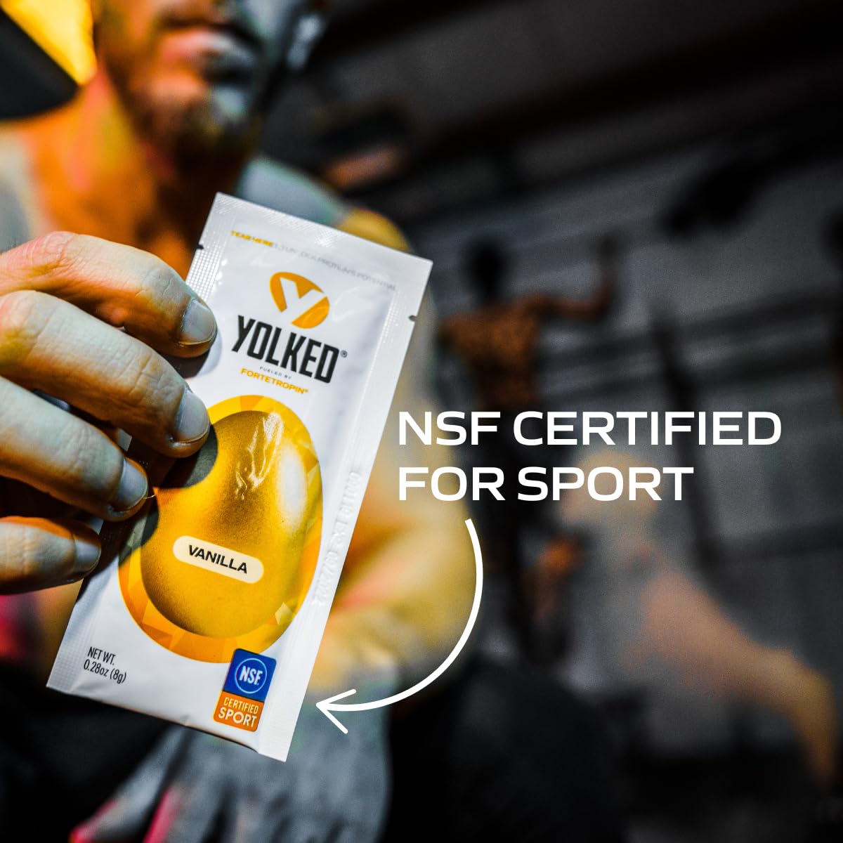 YOLKED - NSF-Certified Muscle Building Supplement - Help Increase Lean Muscle, Reduce Muscle Loss, and Improve Recovery with Fortetropin, 30 Servings