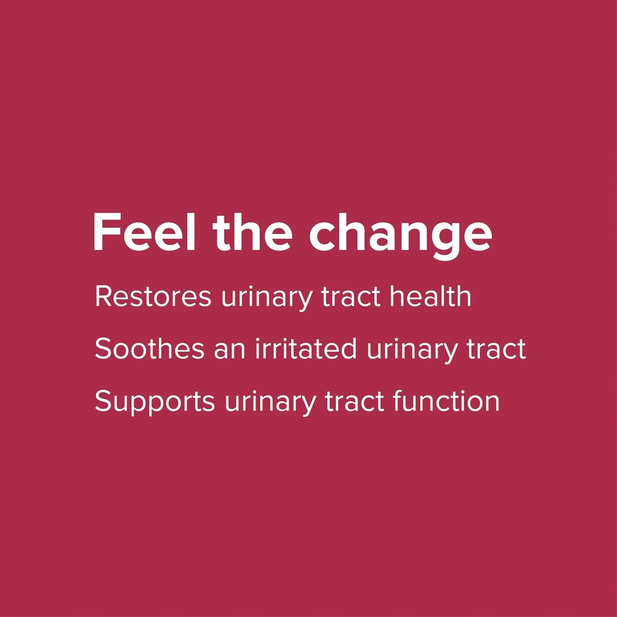 Vibrant Health, U.T. Vibrance Powder, Crisis Intervention for Urinary Tract Health, 10 Servings Vibrant Health Au supplements