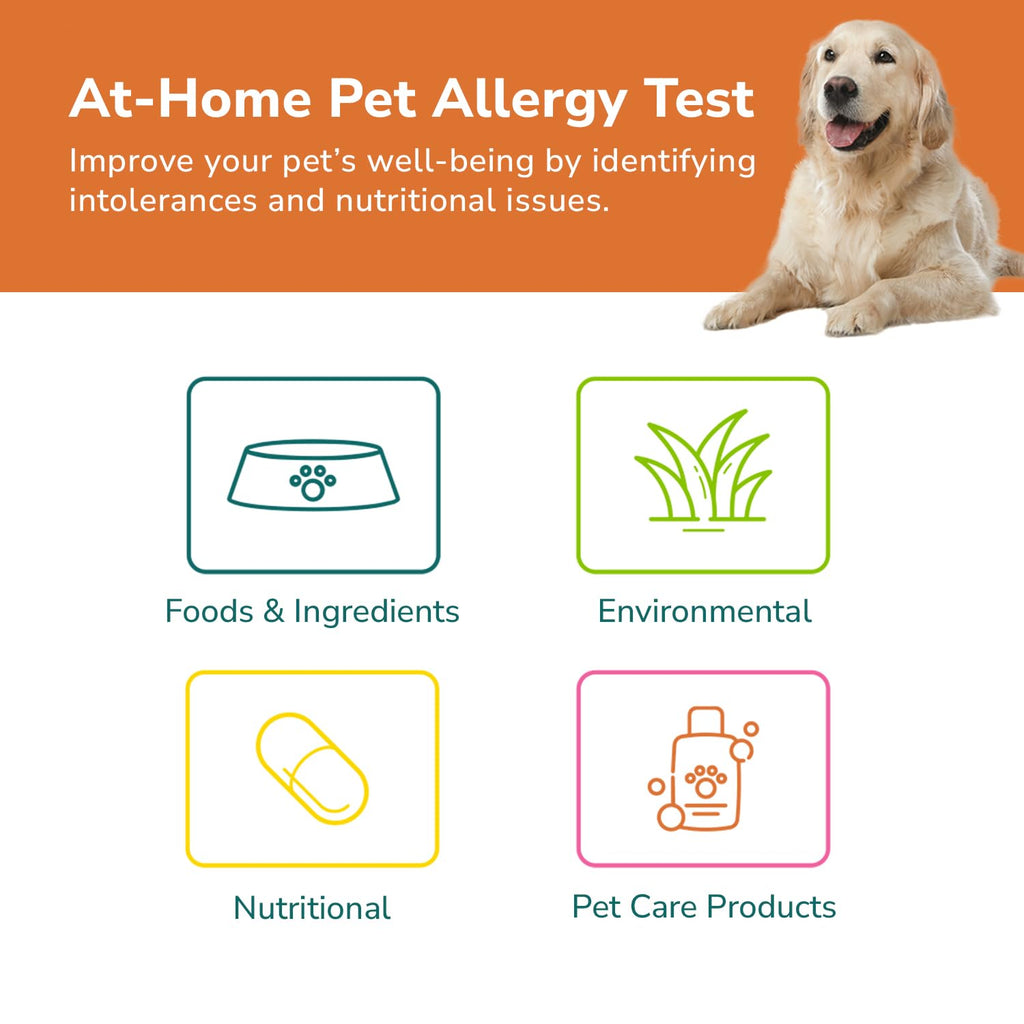 TotalVet Dog Allergy +1000 Food & Nutritional Sensitivity Test, Pet Intolerance Kit at Home — Advanced Complement to DNA Tests for Complete Pet Wellness TotalVet Au supplements