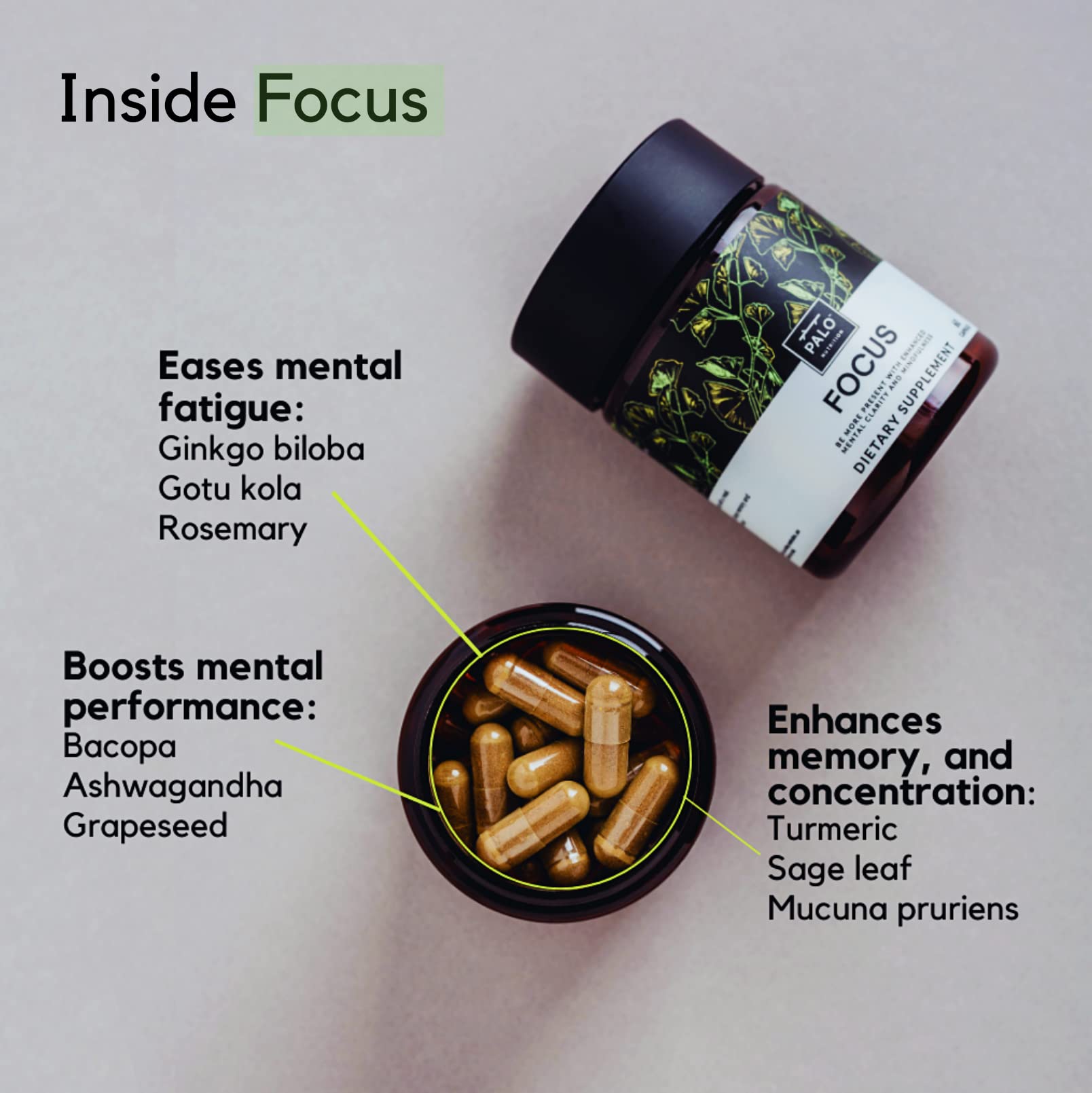 PALO Focus Brain Booster Natural Supplement Nootropic for Memory, Focus, Learning, Reall, Attention and Cognition - Ginkgo Biloba, Bacopa, Gotu Kola, Ashwagandha, Mucuna 60 Capsules PALO Au supplements