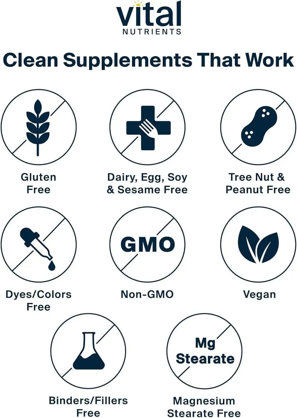 Vital Nutrients Once Daily Multivitamin | Vegan Multi for Women & Men | Allergen-Free | 19 Essential Vitamins + Antioxidants for Eye and Heart Health | Vital Nutrients Au supplements