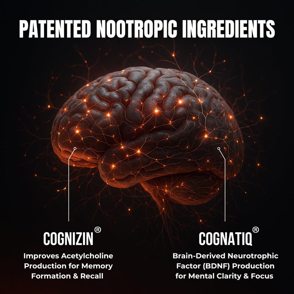 Advanced Nootropic Brain Supplement for Energy, Memory, & Focus | Lion's Mane, Caffeine, L-Theanine, and 5 Additional All-Natural Ingredients to Improve Cognitive Health (90 Capsules) HUMBLEROOTS PERFORMANCE Au supplements