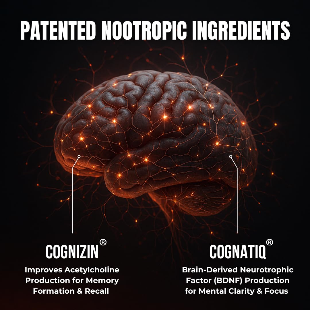 Advanced Nootropic Brain Supplement for Energy, Memory, & Focus | Lion's Mane, Caffeine, L-Theanine, and 5 Additional All-Natural Ingredients to Improve Cognitive Health (90 Capsules) HUMBLEROOTS PERFORMANCE Au supplements