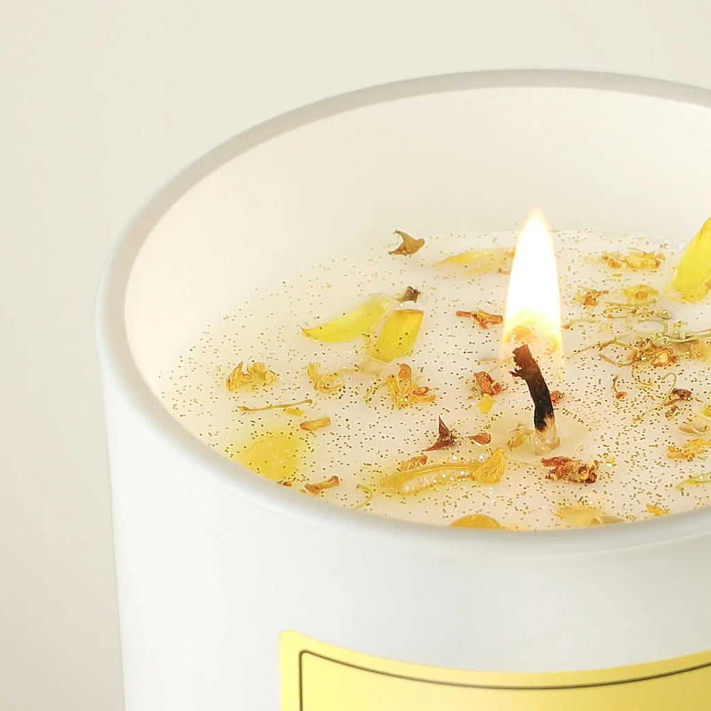 Vanilla Soy Candles Gift for Women - Aromatherapy Candle with Crystals Inside, 10oz Natural Soy Wax Candles AOOVOO Au supplements