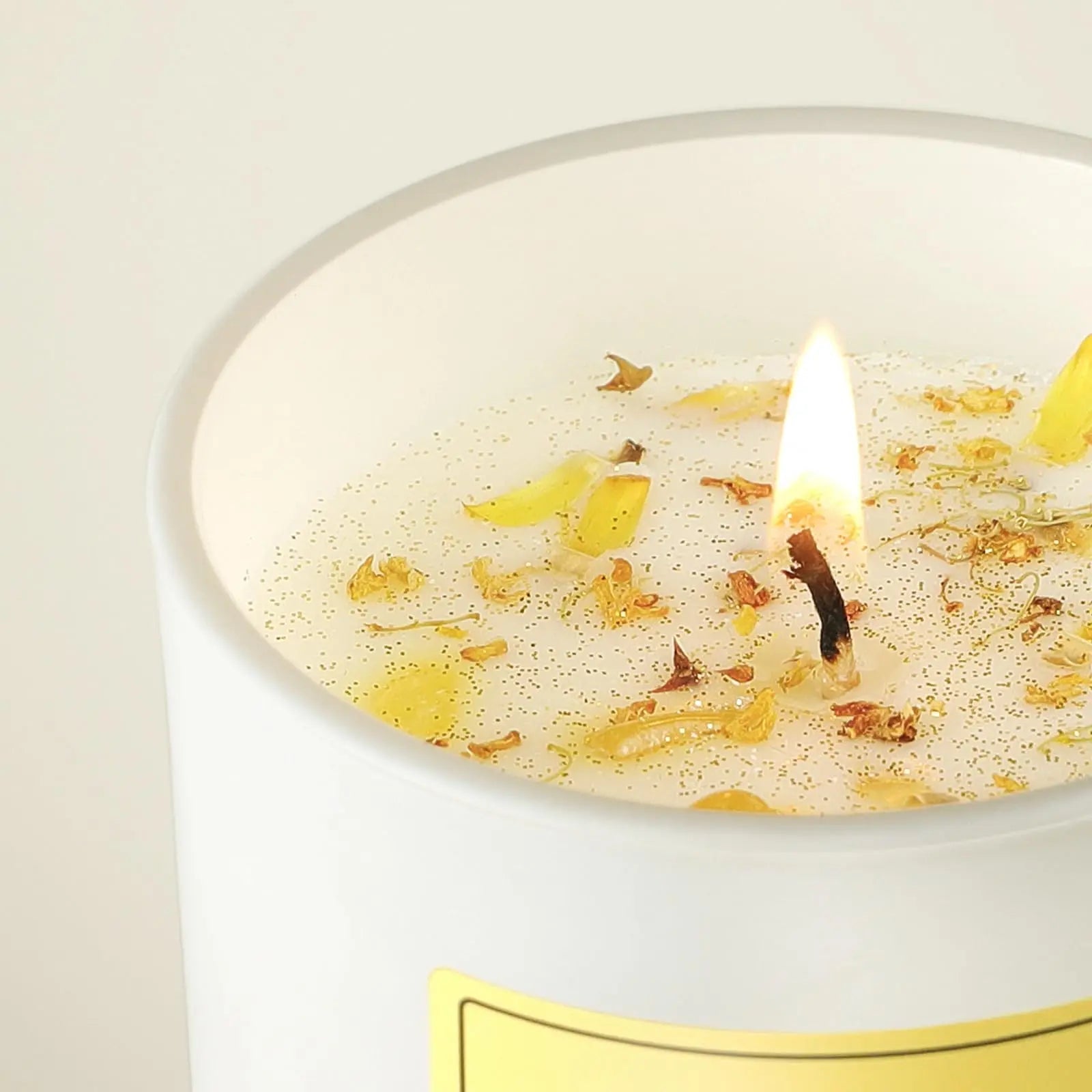 Vanilla Soy Candles Gift for Women - Aromatherapy Candle with Crystals Inside, 10oz Natural Soy Wax Candles AOOVOO Au supplements