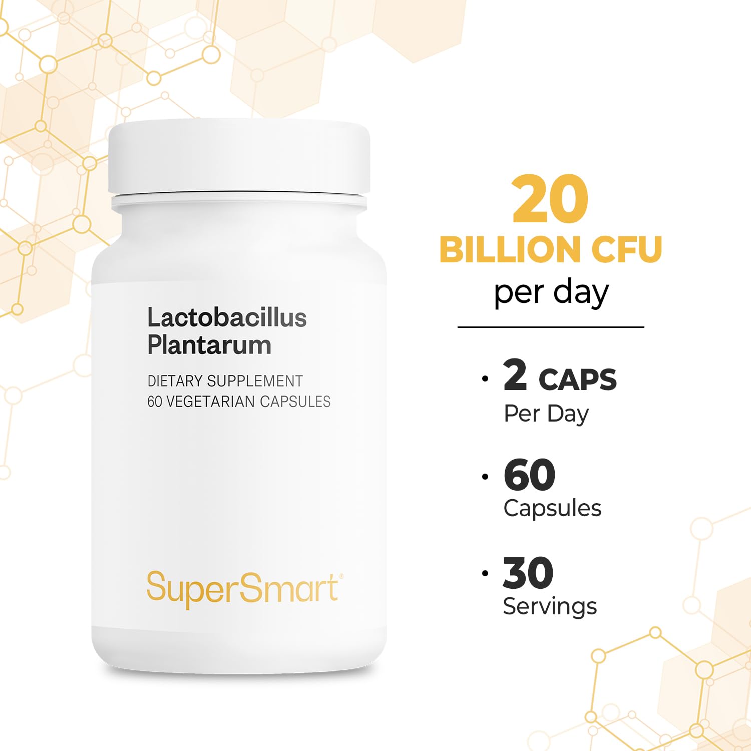 Supersmart - Lactobacillus Plantarum PostBiotic 20 Billion CFU per Day (Immuno-LP20) - Heat-Treated Probiotic Supplement | Non-GMO & Gluten Free - 60 Vegetarian Capsules Supersmart Au supplements