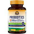 Vitalitown Probiotics + Prebiotics | 60 Billion CFUs 19 Strains | 60 Delayed Release Veg Caps | Shelf Stable, Prebiotics and Probiotics | Digestive Health