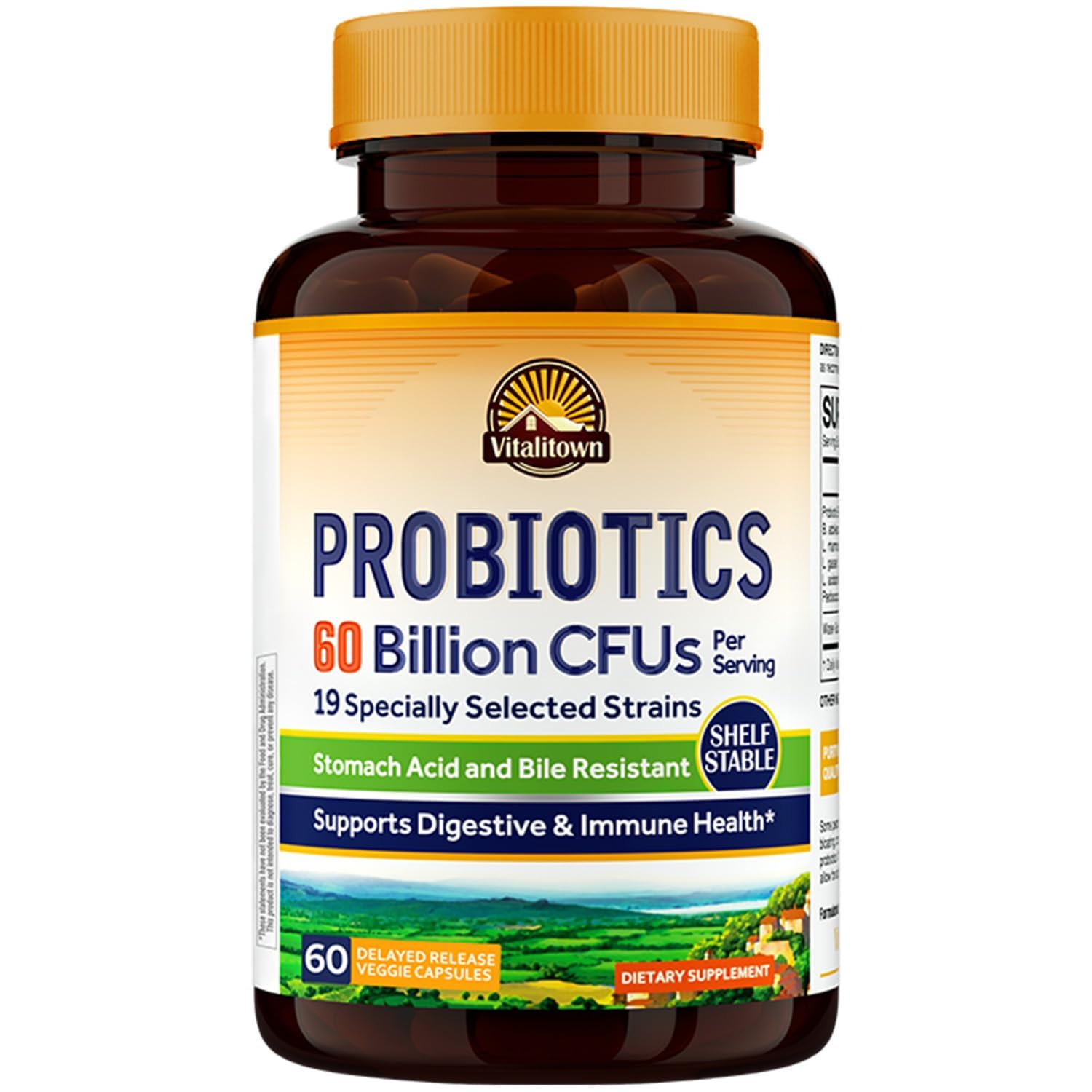 Vitalitown Probiotics + Prebiotics | 60 Billion CFUs 19 Strains | 60 Delayed Release Veg Caps | Shelf Stable, Prebiotics and Probiotics | Digestive Health
