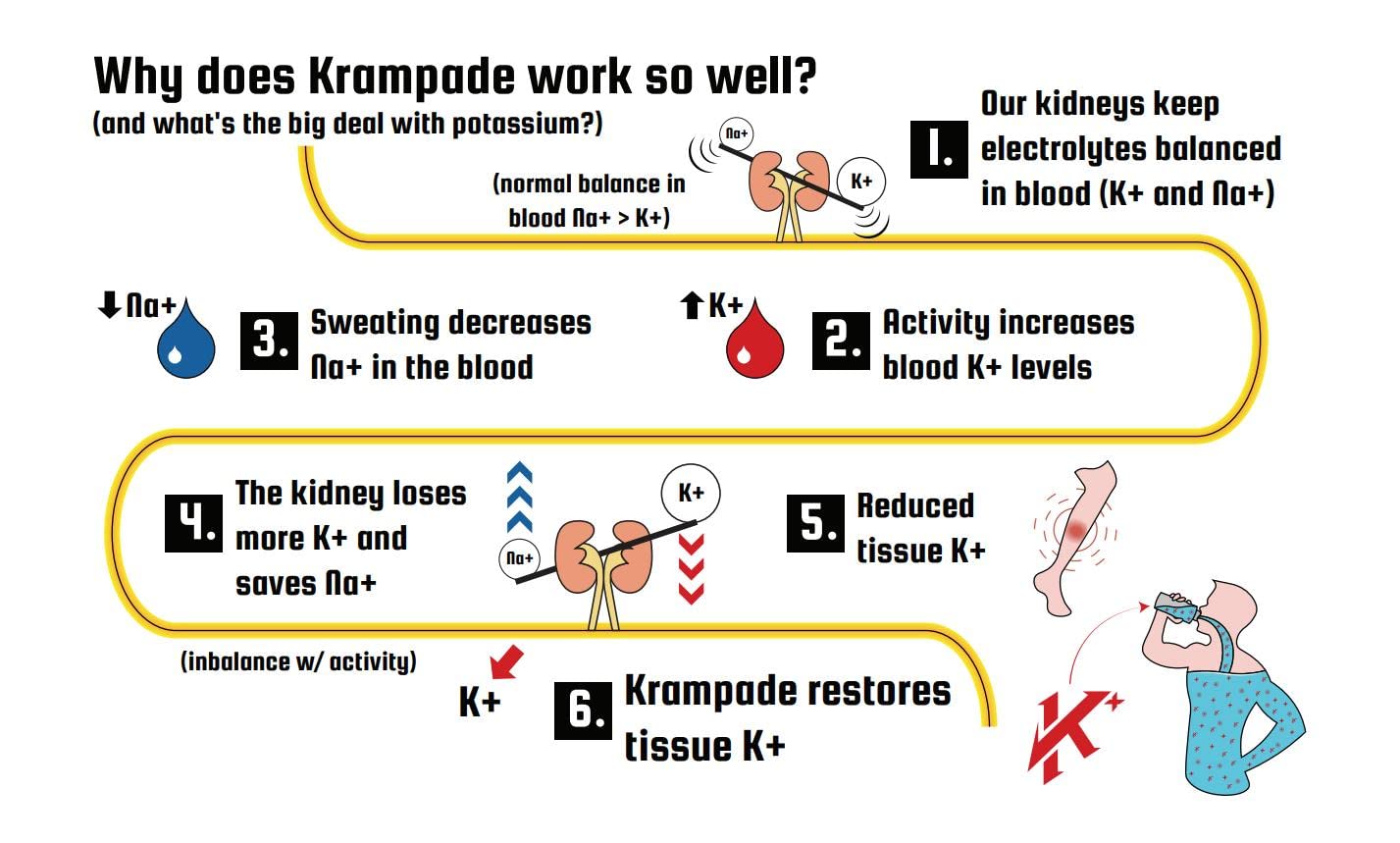 Krampade Original Lemon Lime 4K, 4000 mg Potassium Instant Cramp Relief Electrolyte Drink Powder | Designed for Athletes and Crampers | 19-Serving Resealable Pouch Krampade Au supplements