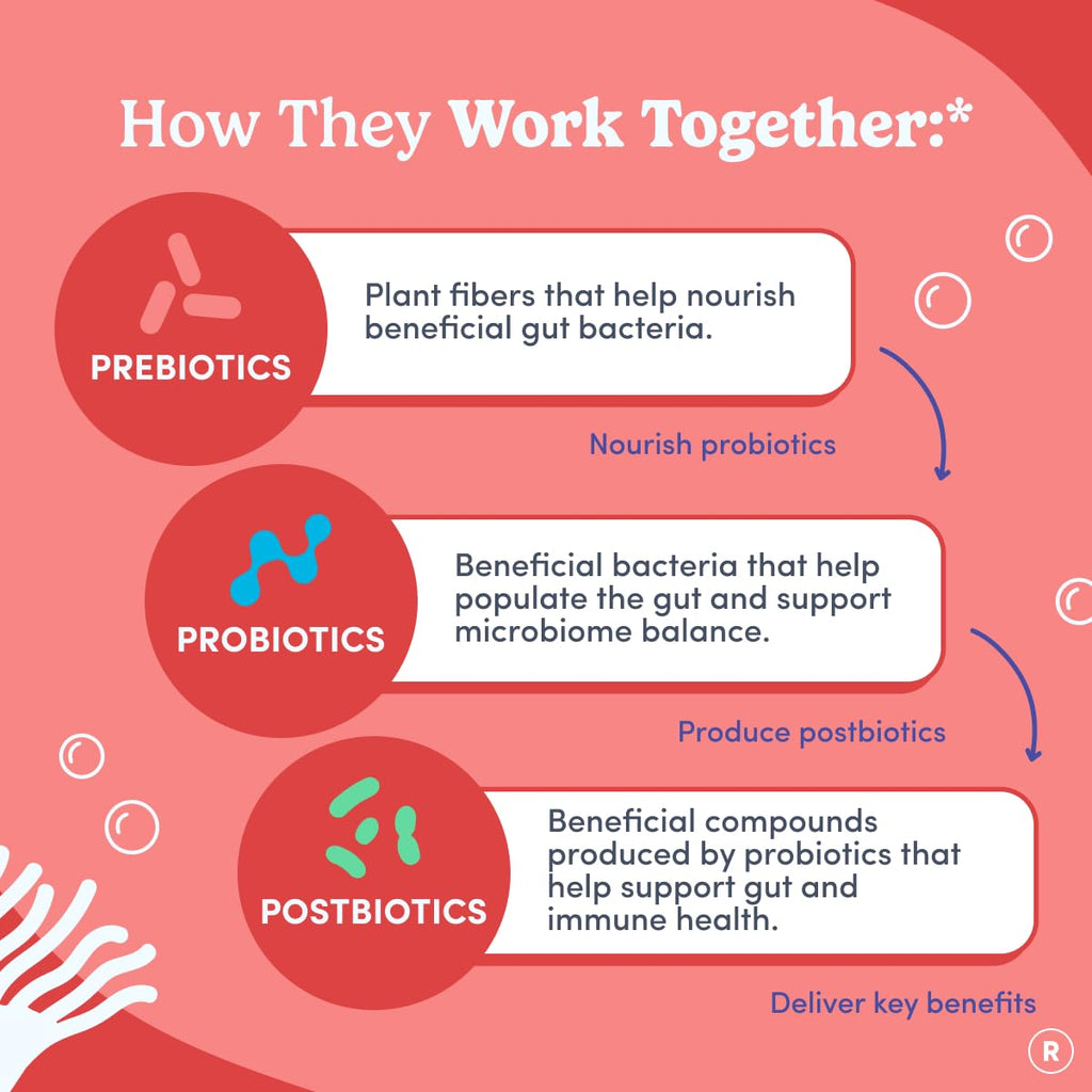 FIRST DAY Womens 3-in-1 Probiotic Gummies – Prebiotic + Probiotic + Postbiotic Supplement – Supports Digestive & Oral Health, Immune Function & Energy Levels – 30-Day Supply FIRST DAY Au supplements