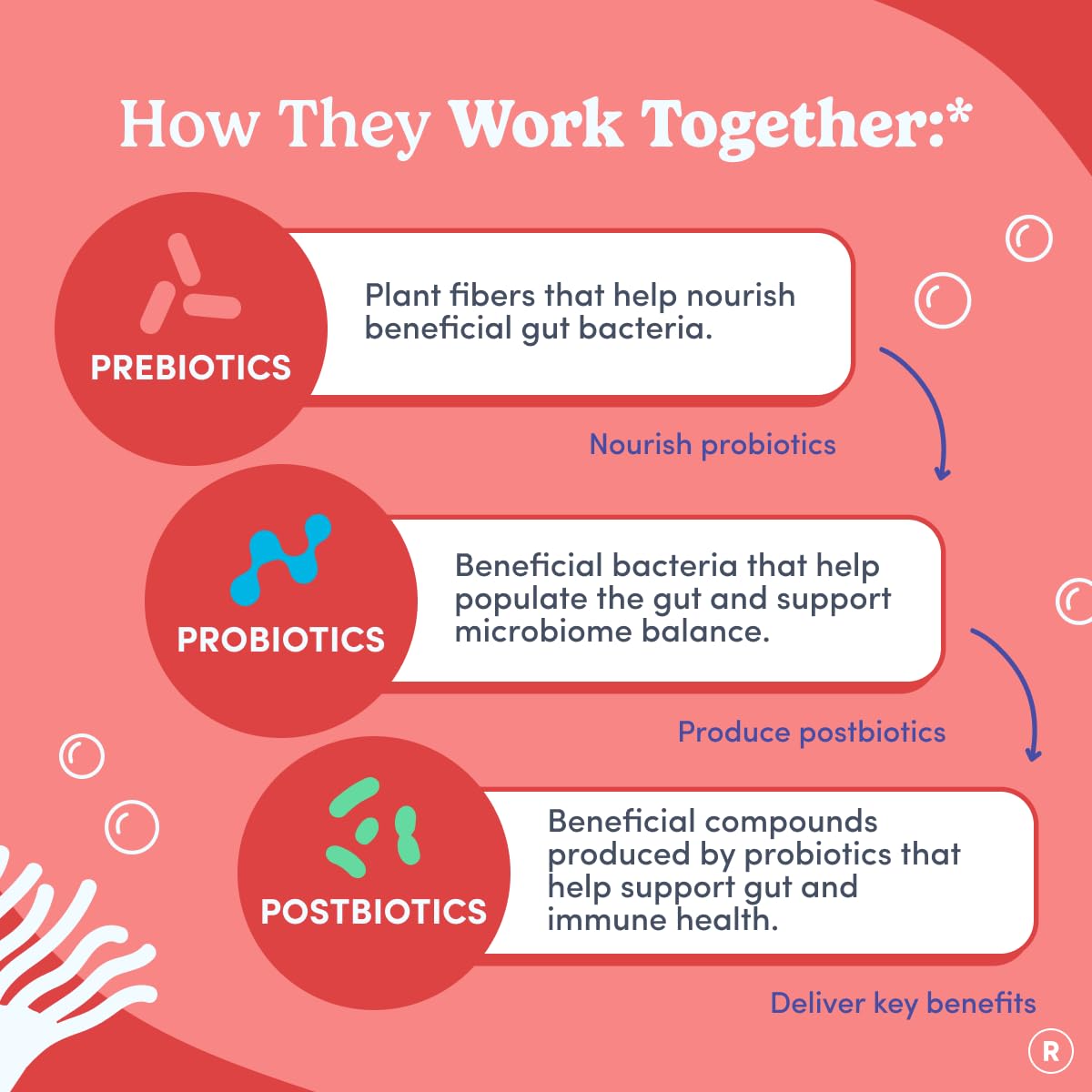 FIRST DAY Womens 3-in-1 Probiotic Gummies – Prebiotic + Probiotic + Postbiotic Supplement – Supports Digestive & Oral Health, Immune Function & Energy Levels – 30-Day Supply FIRST DAY Au supplements