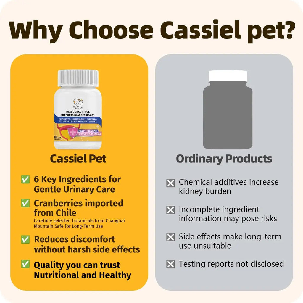 Cassiel Pet Bladder Supports Chews for Urinary Tract Health, Infection Treatments, Bladder Health, Dog UTI, Bladder Stones, Incontinence Support, Urinary Pain Relief for Cat & Dog 10 Chews (1 Bottle) Cassiel pet Au supplements