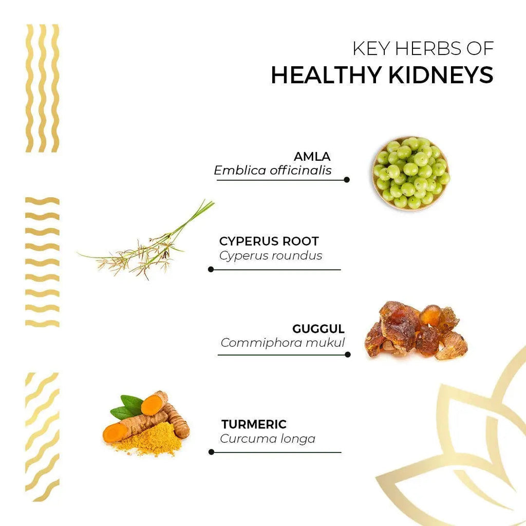 Kerala Ayurveda Healthy Kidney Herbal Tablets | Support Normal Kidney Function and Health | Kidney and Bladder Support | Urinary System Support - 90 Count Kerala Ayurveda Au supplements